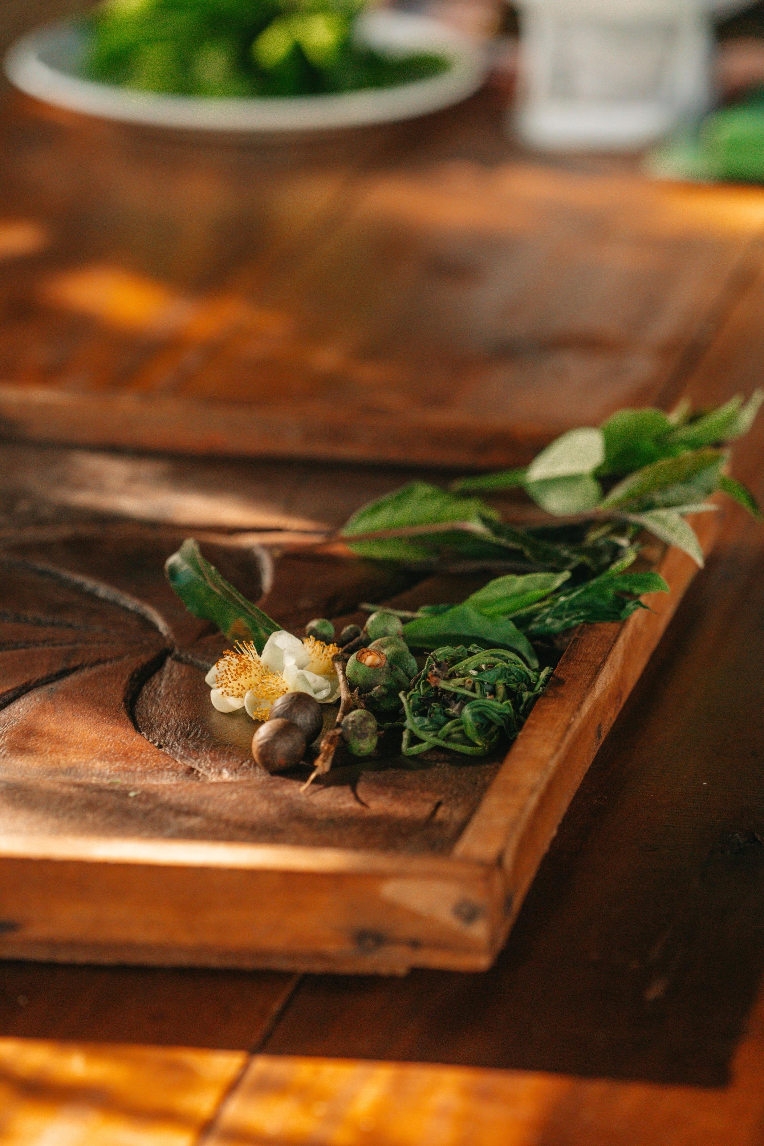 Ella: Hands-On Tea Crafting and Tasting Experience