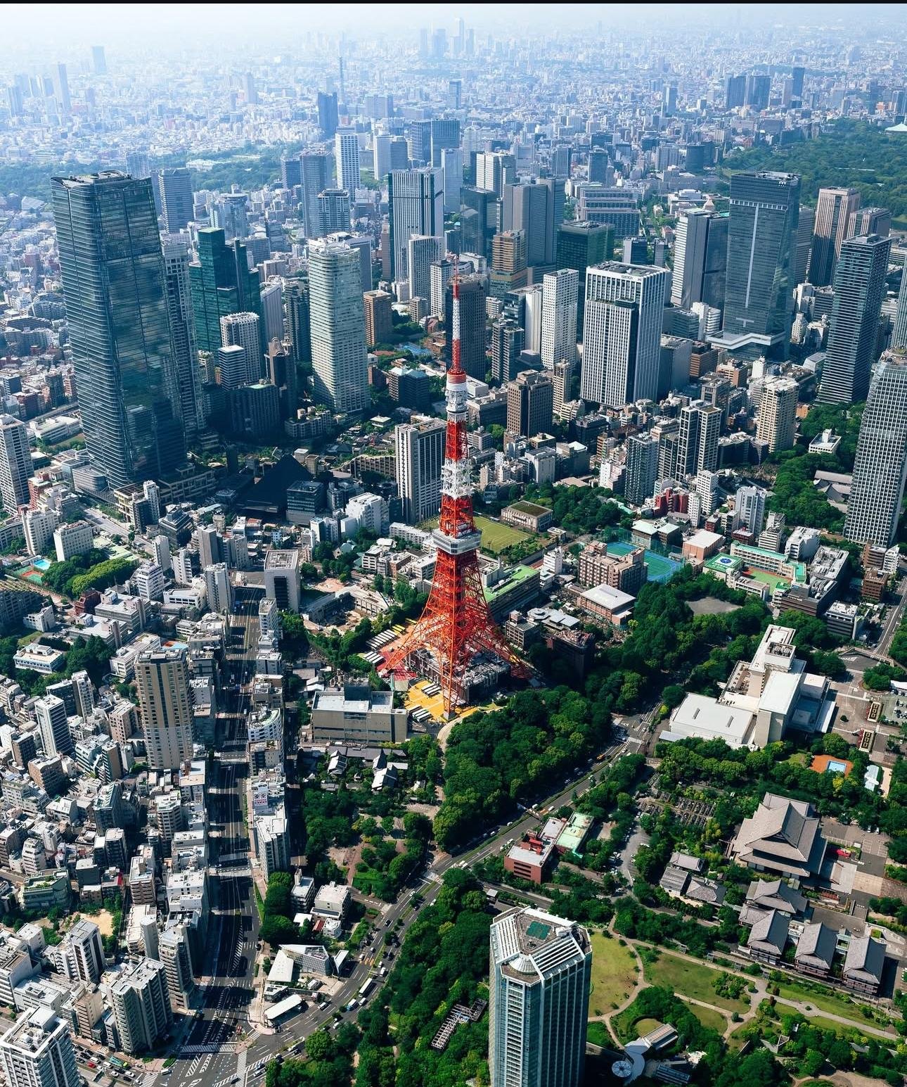 Tokyo: City Sights and Skytree Private Helicopter Ride