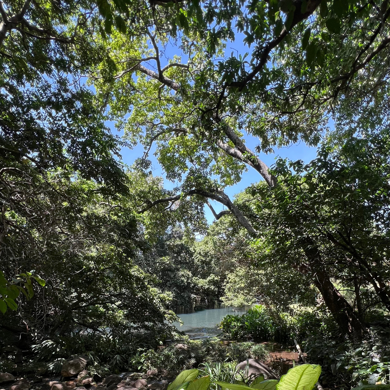 Nairobi Cultural Discovery: Karen Blixen, Museums & Art