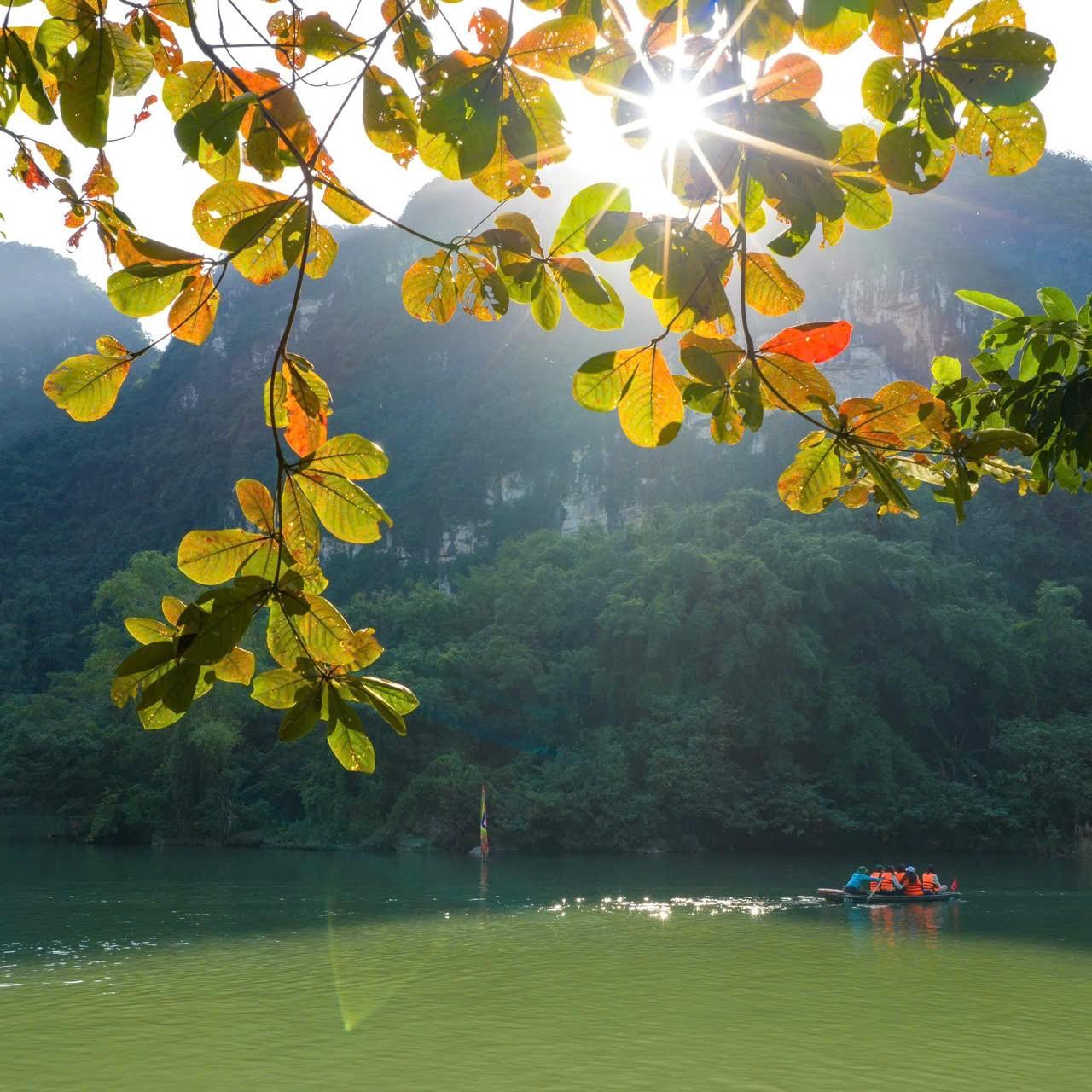 Hanoi to Ninh Binh: Hoa Lu, Trang An & Mua Cave Day Tour