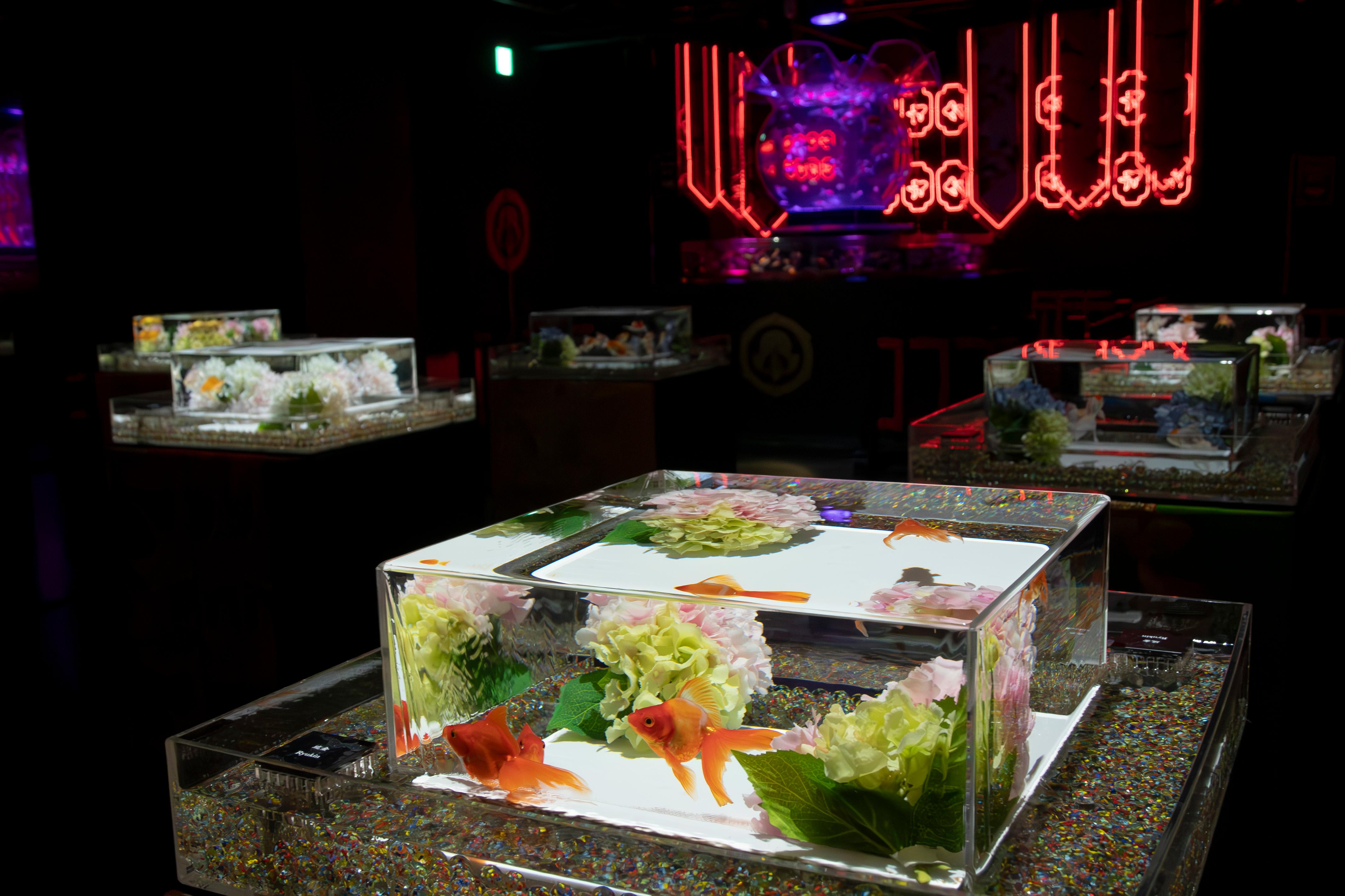 Tokyo Art Aquarium Museum GINZA Admission Ticket