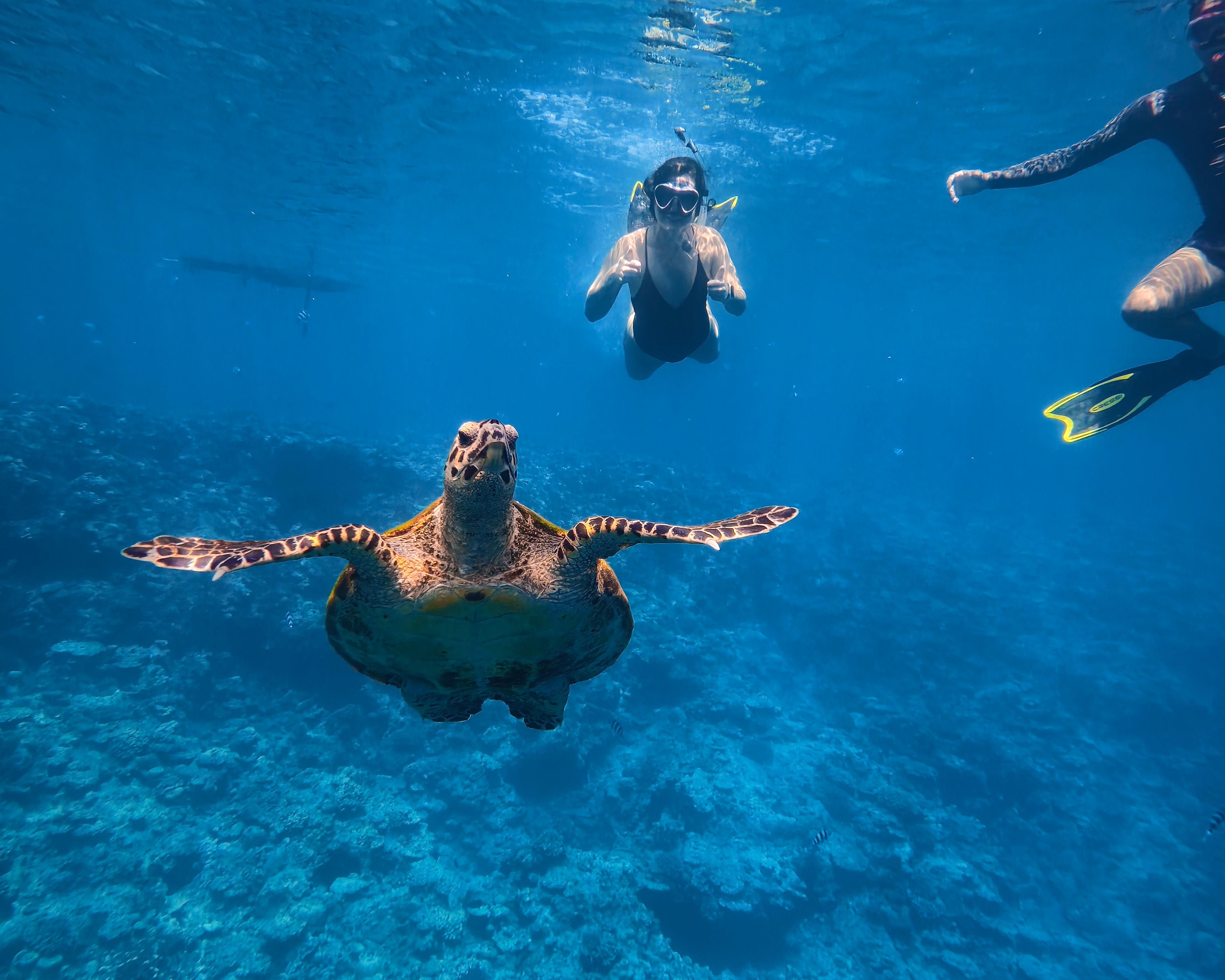 Blue Cave Okinawa snorkelling at Cape Maeda, Onna Village — image 6