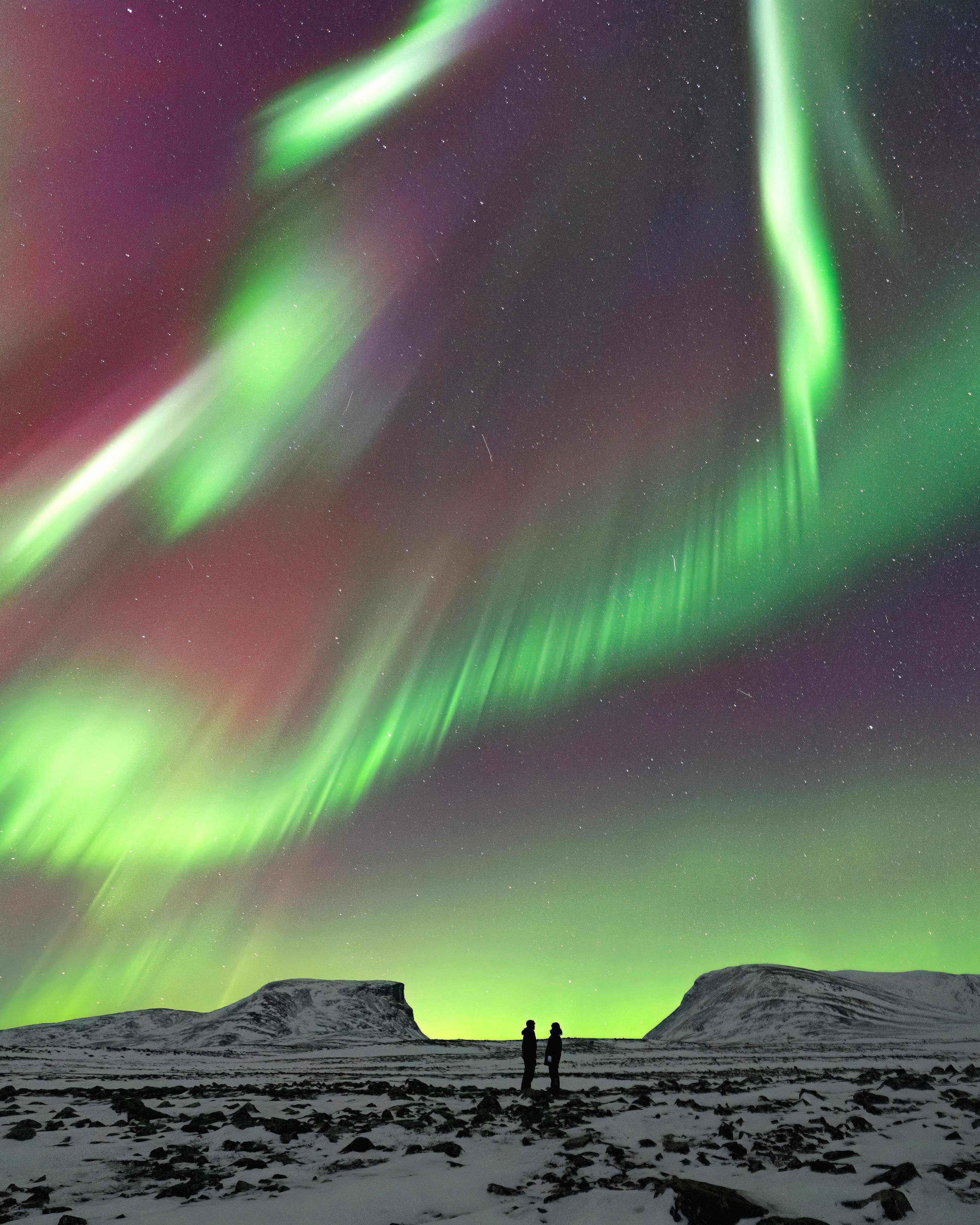 Abisko Northern Lights Chase with Photos & Hot Drinks