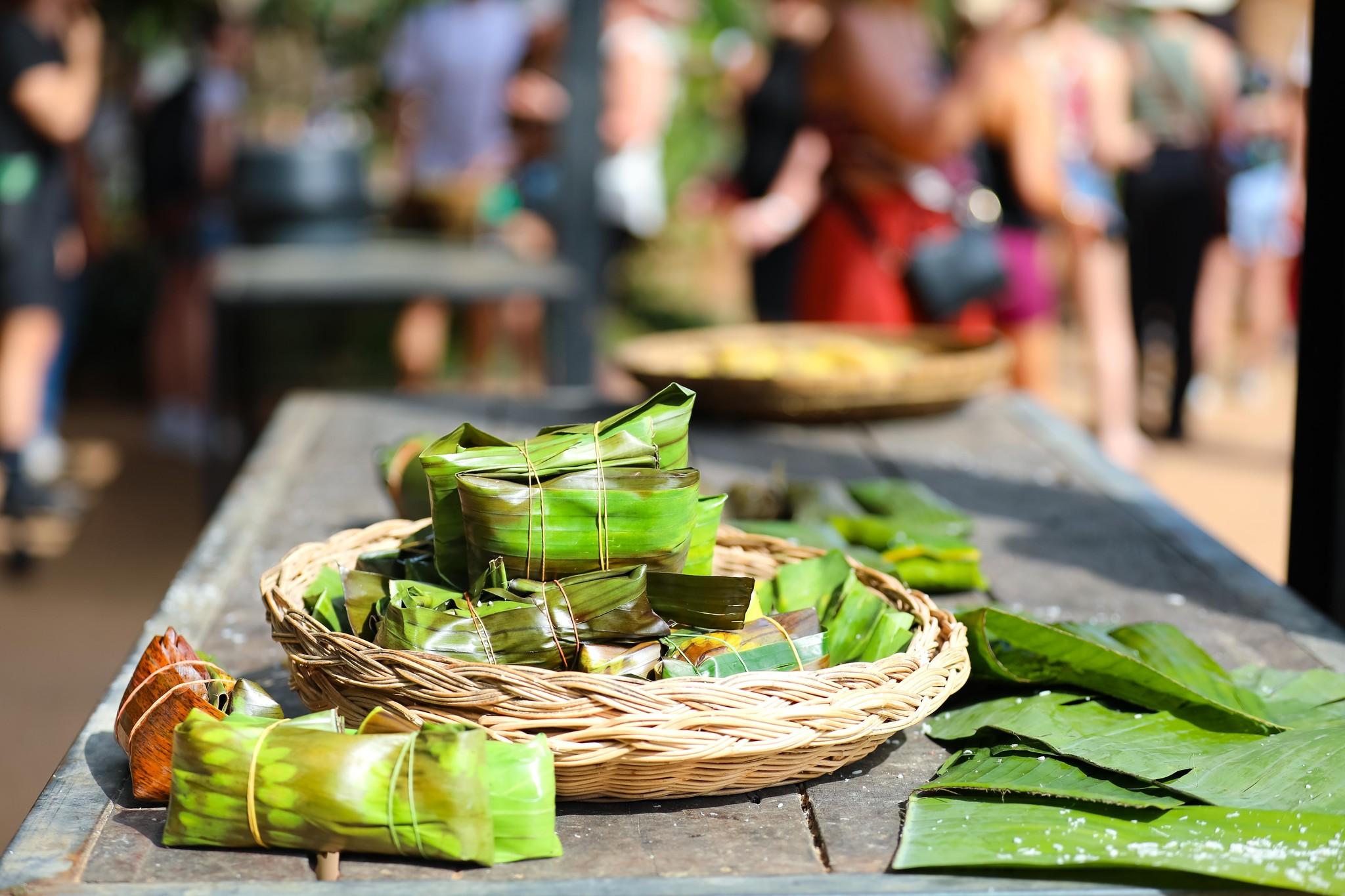 Samui Ethical Elephant Sanctuary Half-Day Experience