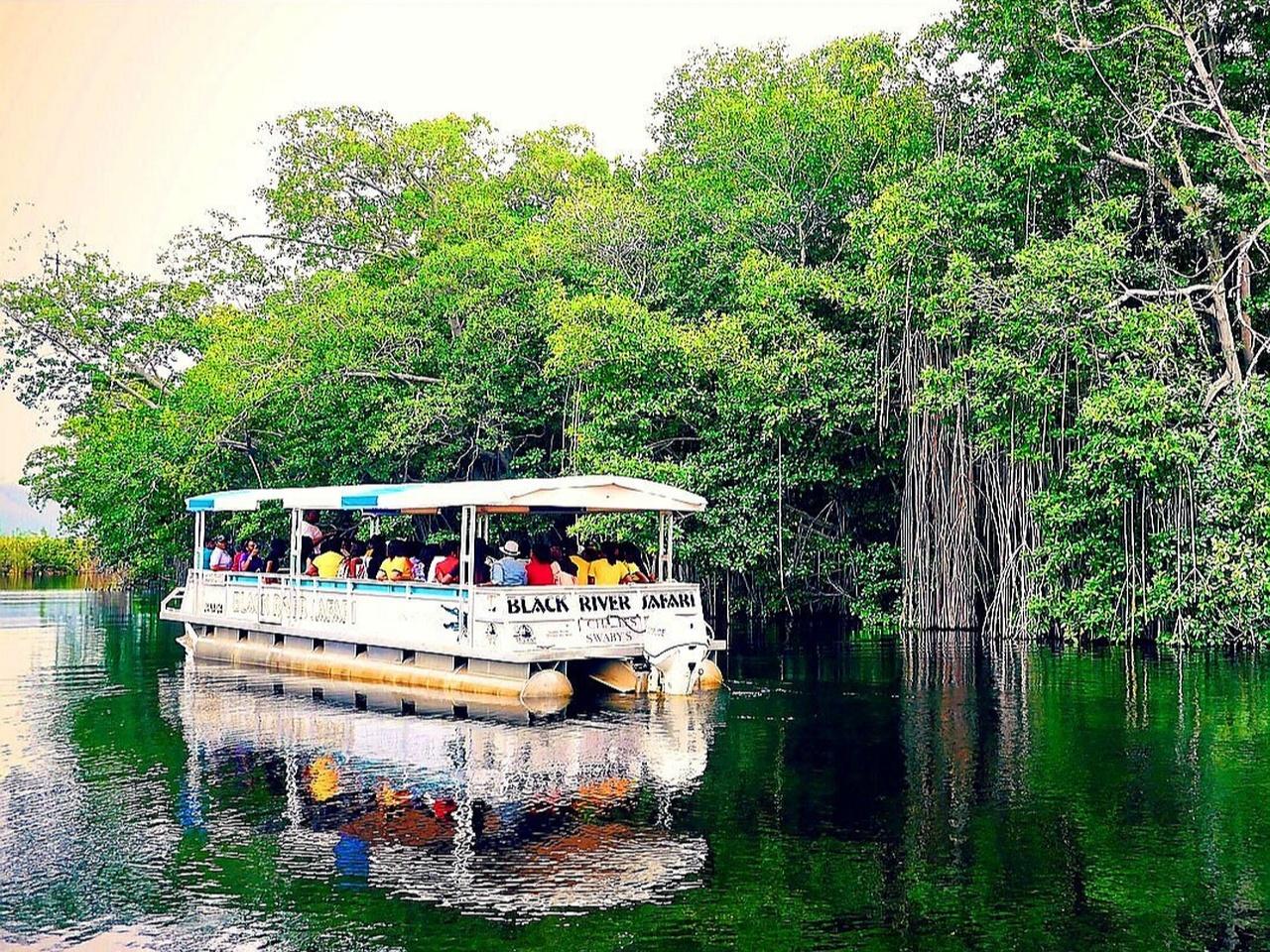 Jamaica’s Best: Rum, Safari & YS Falls Day Trip