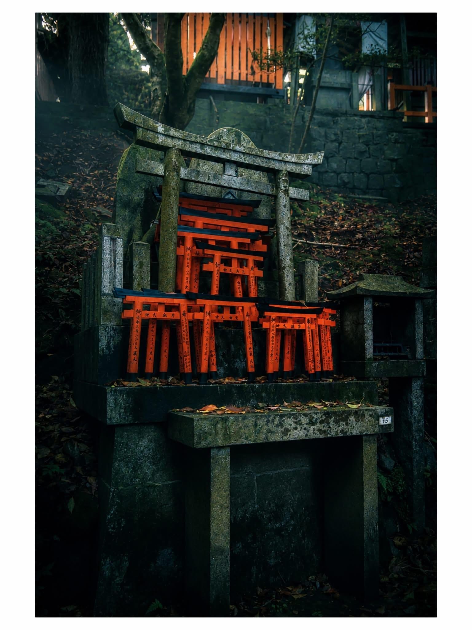 Kyoto: Privat heldagstur til høydepunktene med bil og guide