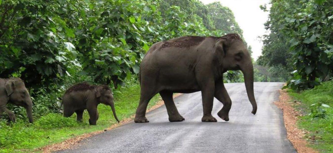 6-Day Kerala Backwaters and Houseboat Private Expedition