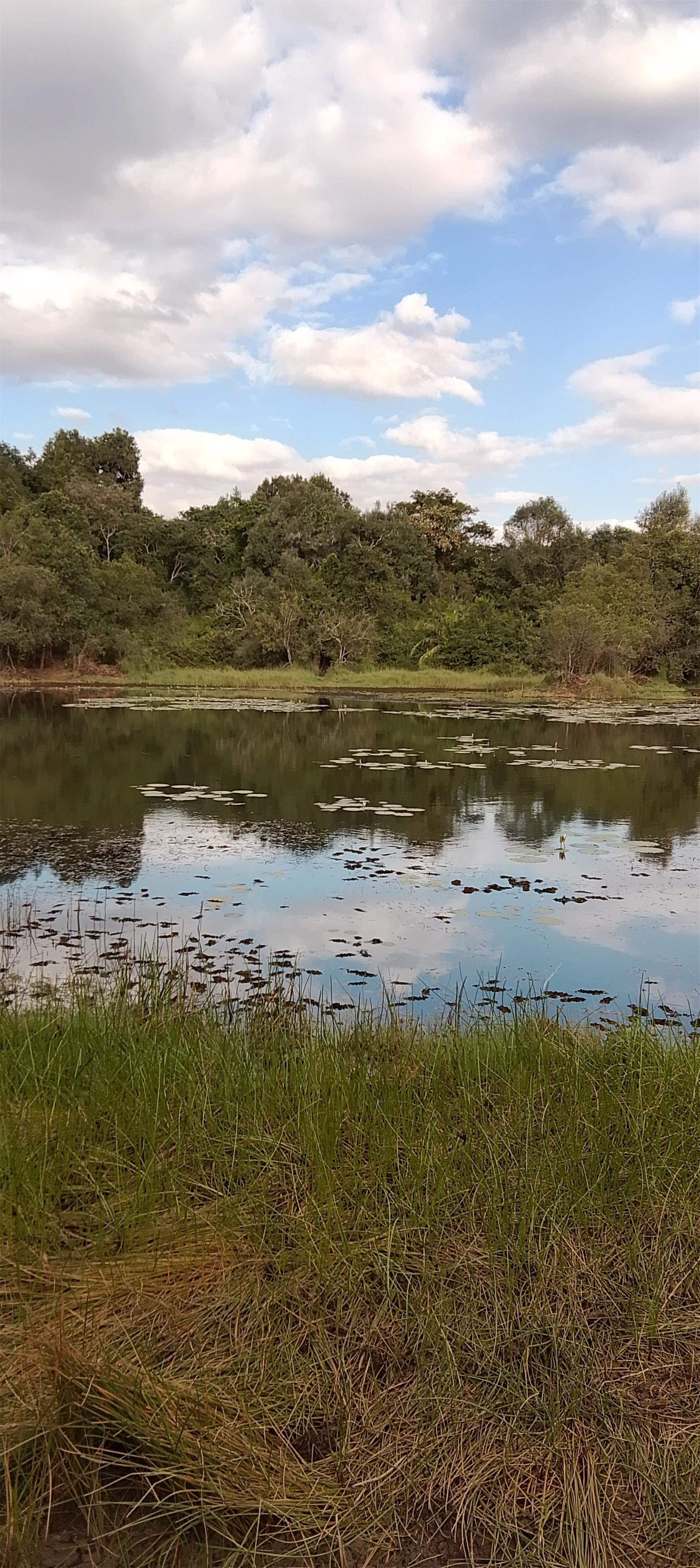 Karura Forest: Immersive Nature & History Walking Tour