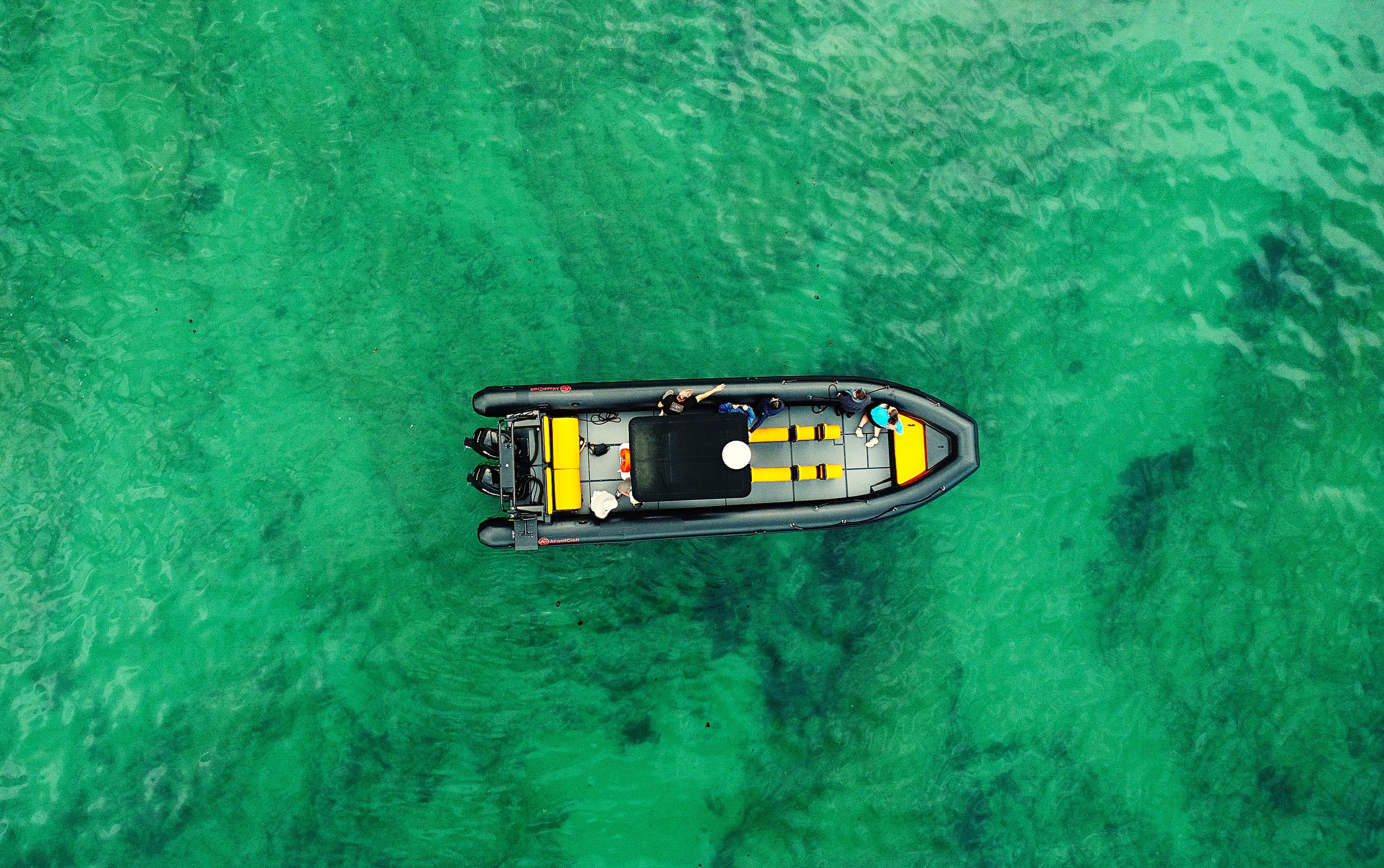 Basque Coast Boat Adventure from Saint-Jean-de-Luz