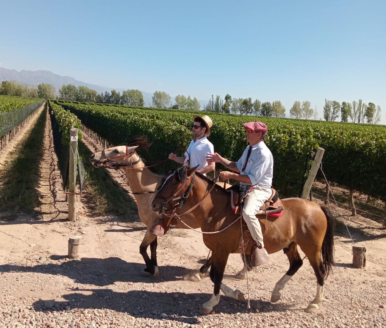 Mendoza Vineyard Horseback Ride & Decero Winery Tasting