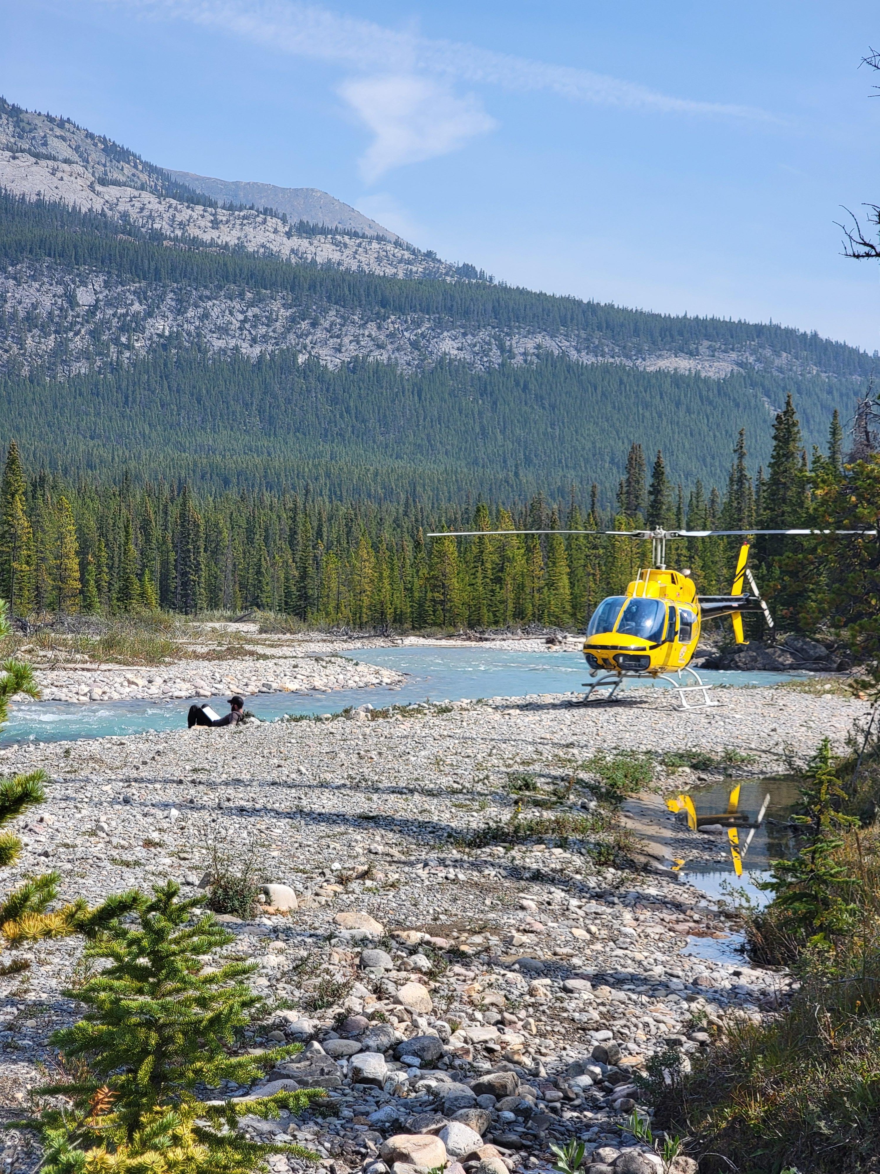 Canadian Rockies: Helicopter Flight with Exploration Hike