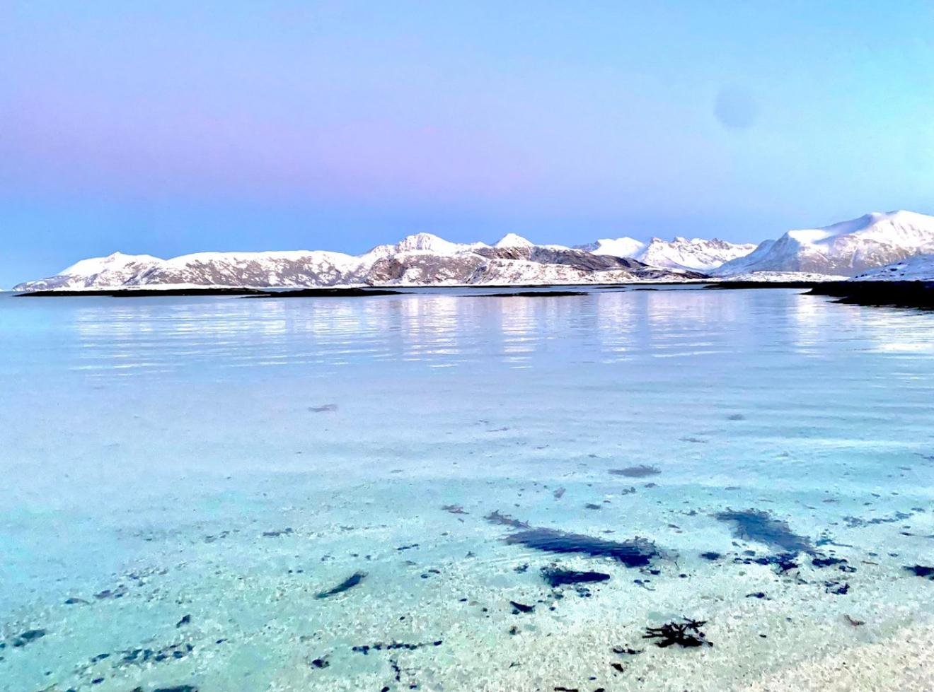 Tromsø: Sommarøy Fjord Expedition Tour & Salmon Picnic — Sommarøy island Norway tour photo 2