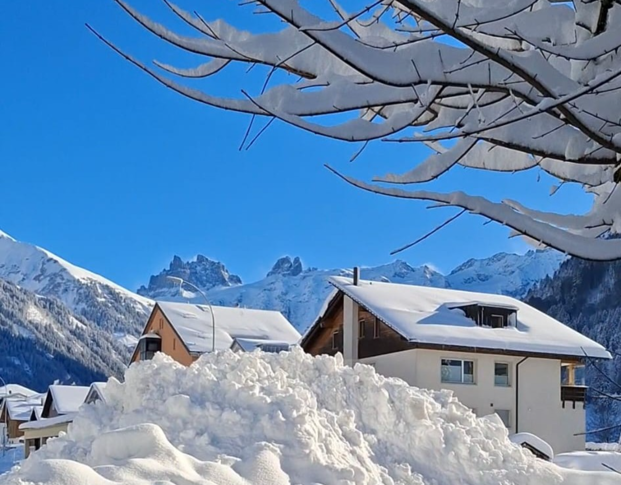 Zurich: Private Mount Titlis & Lucerne Day Excursion