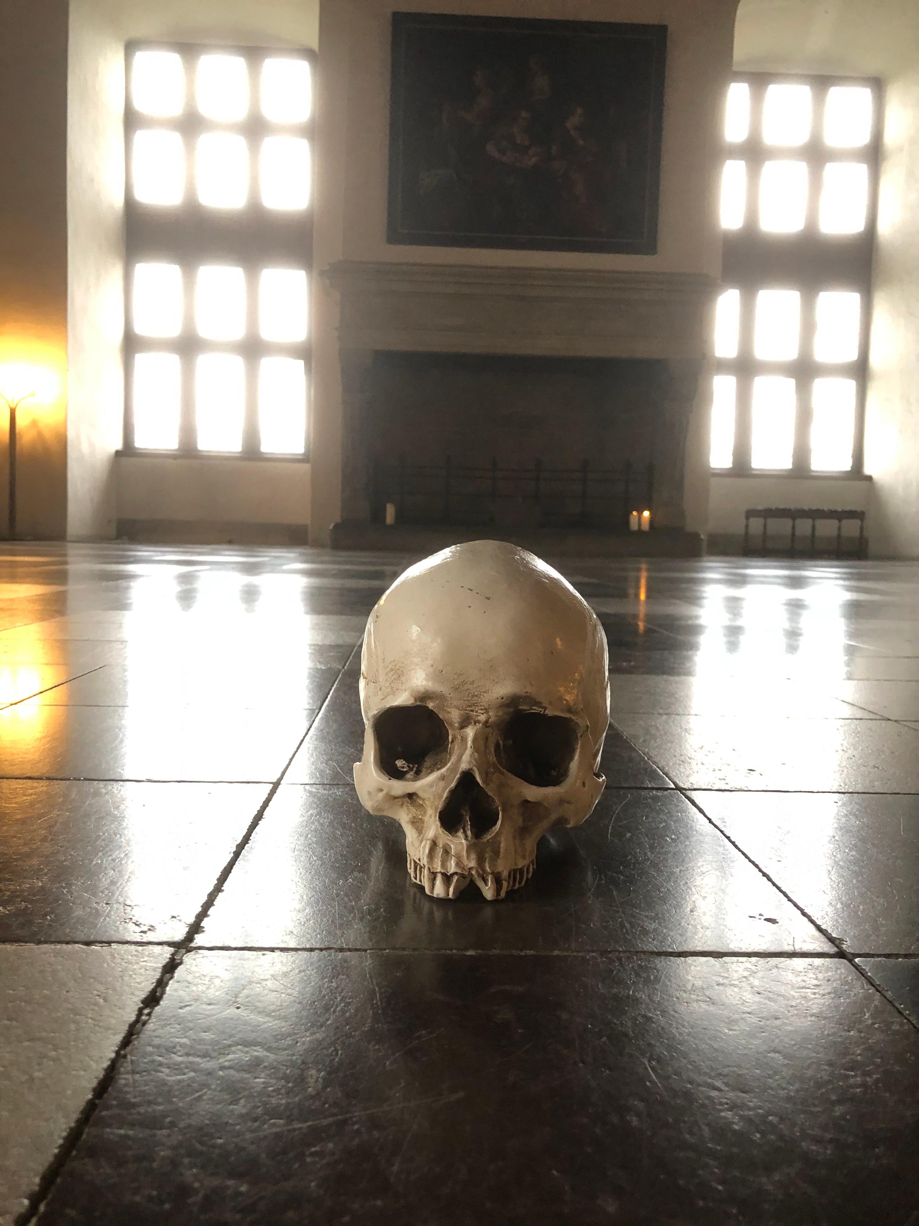 Out of Copenhagen; 2x Castles, Cathedral & (Viking Ships)
