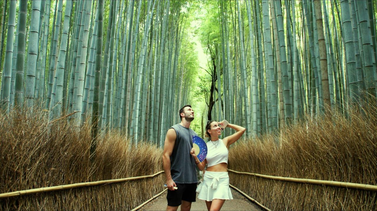 Kyoto Arashiyama Half-Day Walking Tour