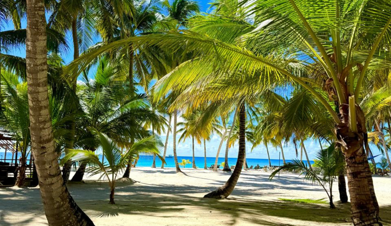 Saona Island Catamaran & Natural Pool Day Trip
