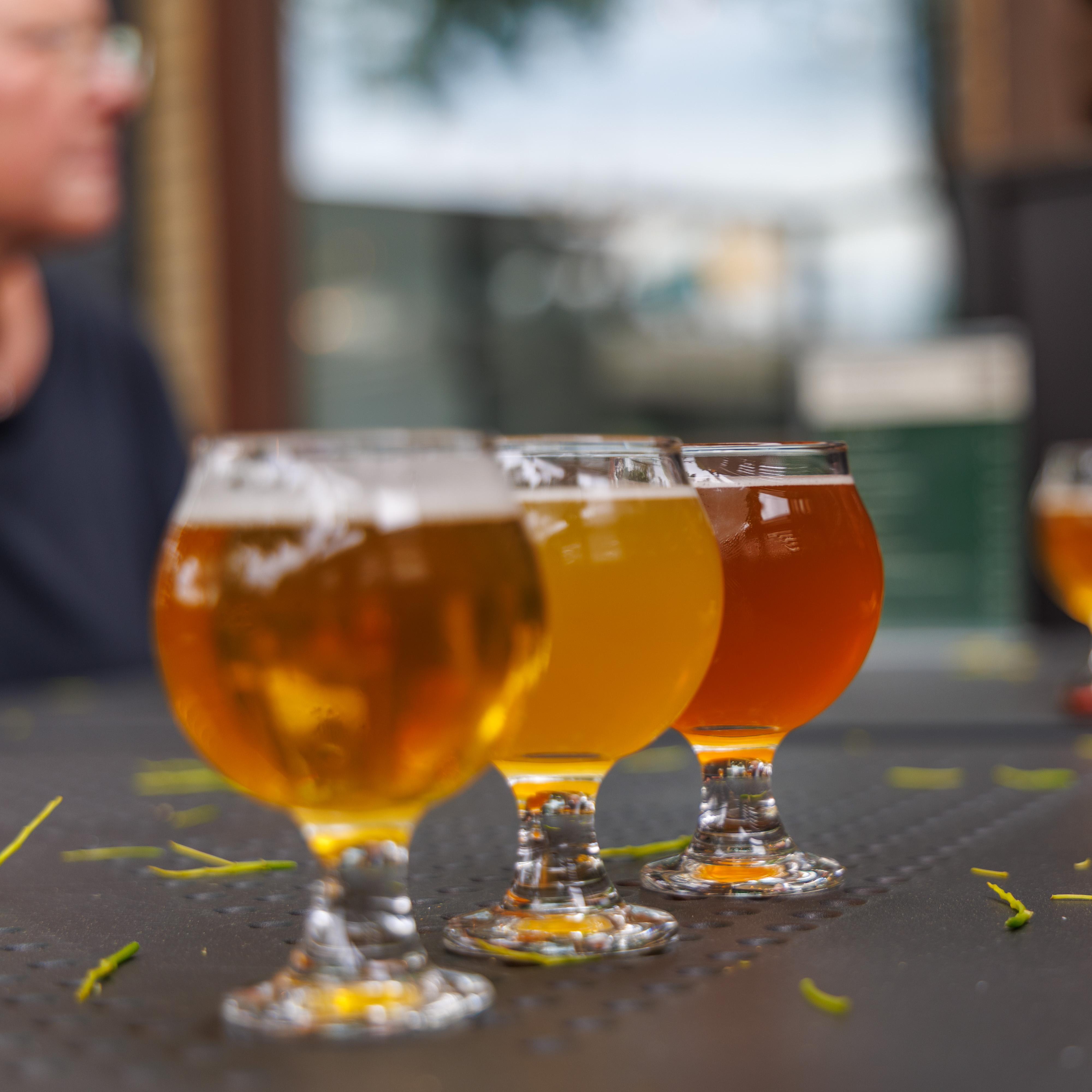 Quebec City: Montmorency Falls & Microbrewery eBike Adventure