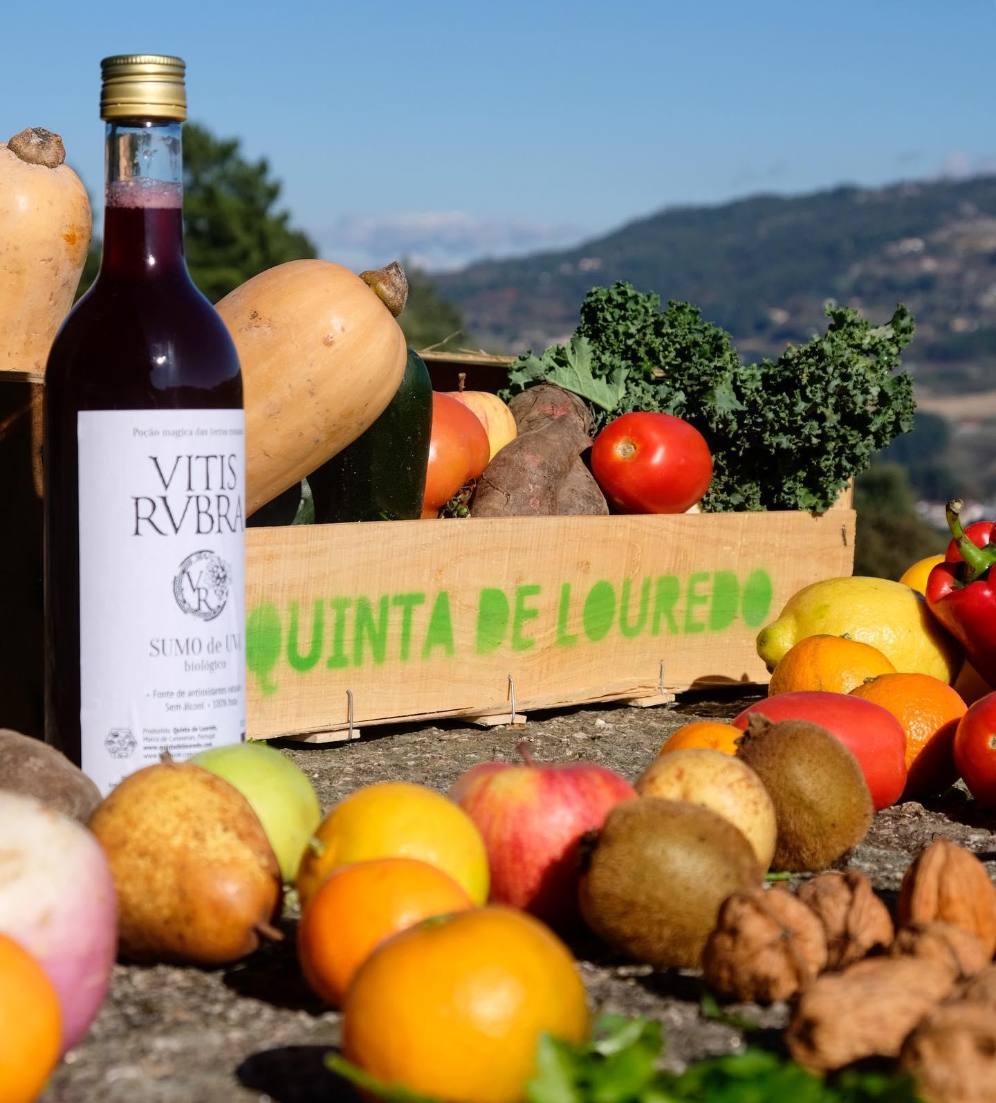 Douro Valley Farm-to-Table Cooking Experience