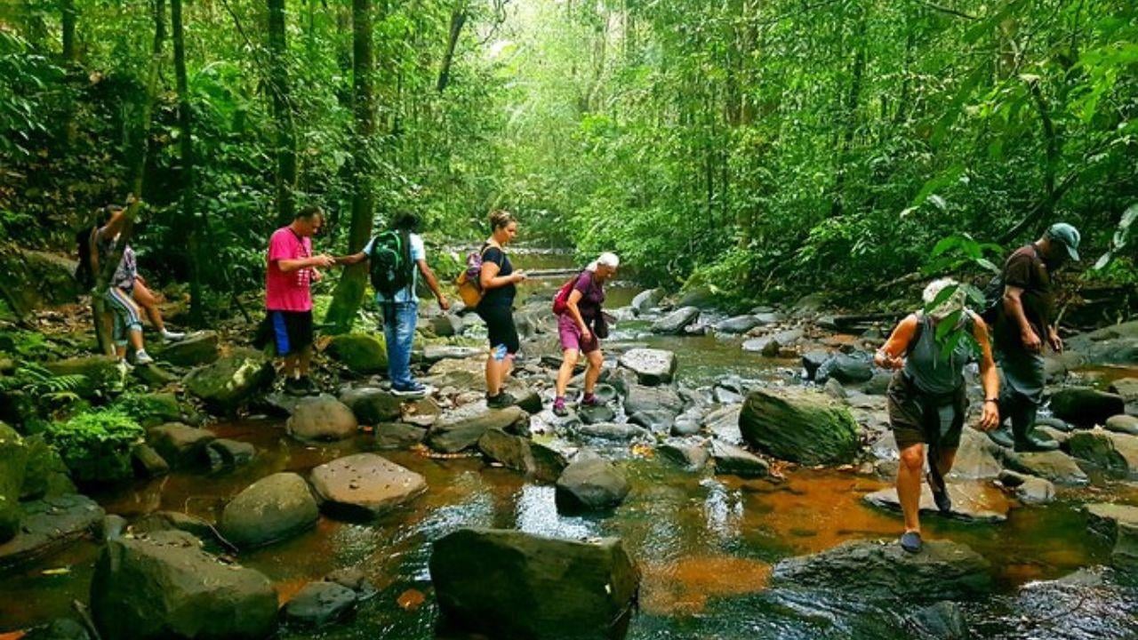 Sinharaja Rainforest Trek with Traditional Lunch