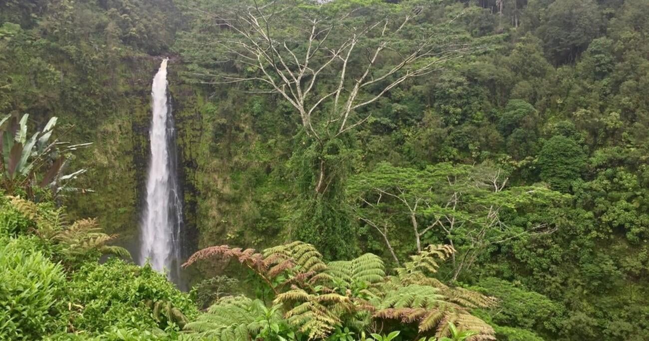 Big Island Volcano & Waterfalls Day Trip from Kona