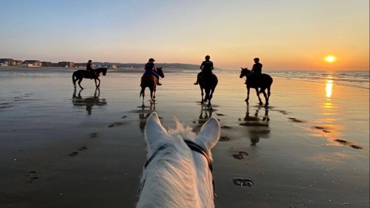 Sousse Horseback Adventure with Beach or Forest Trail