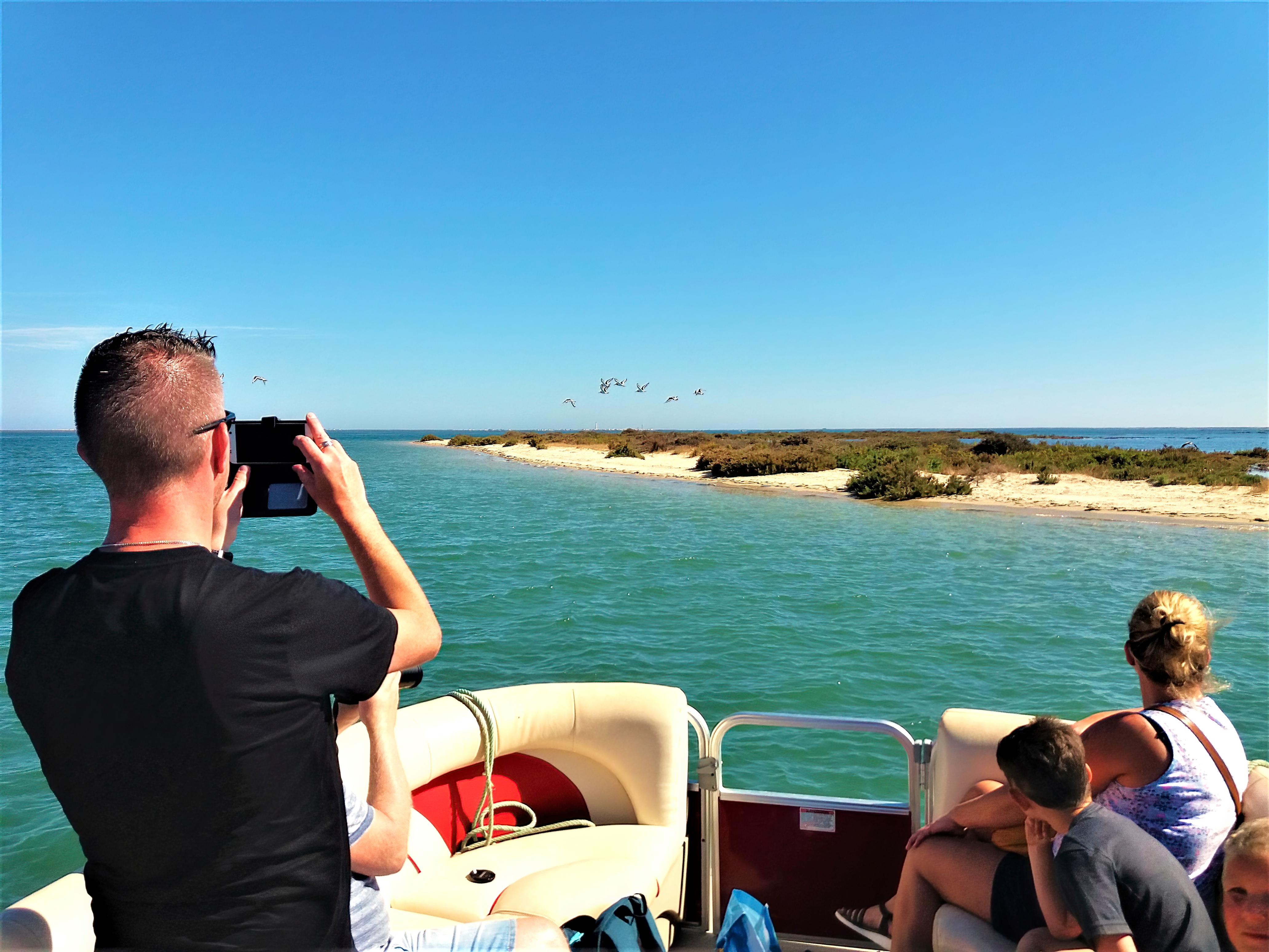 Faro: Ria Formosa Boat Tour