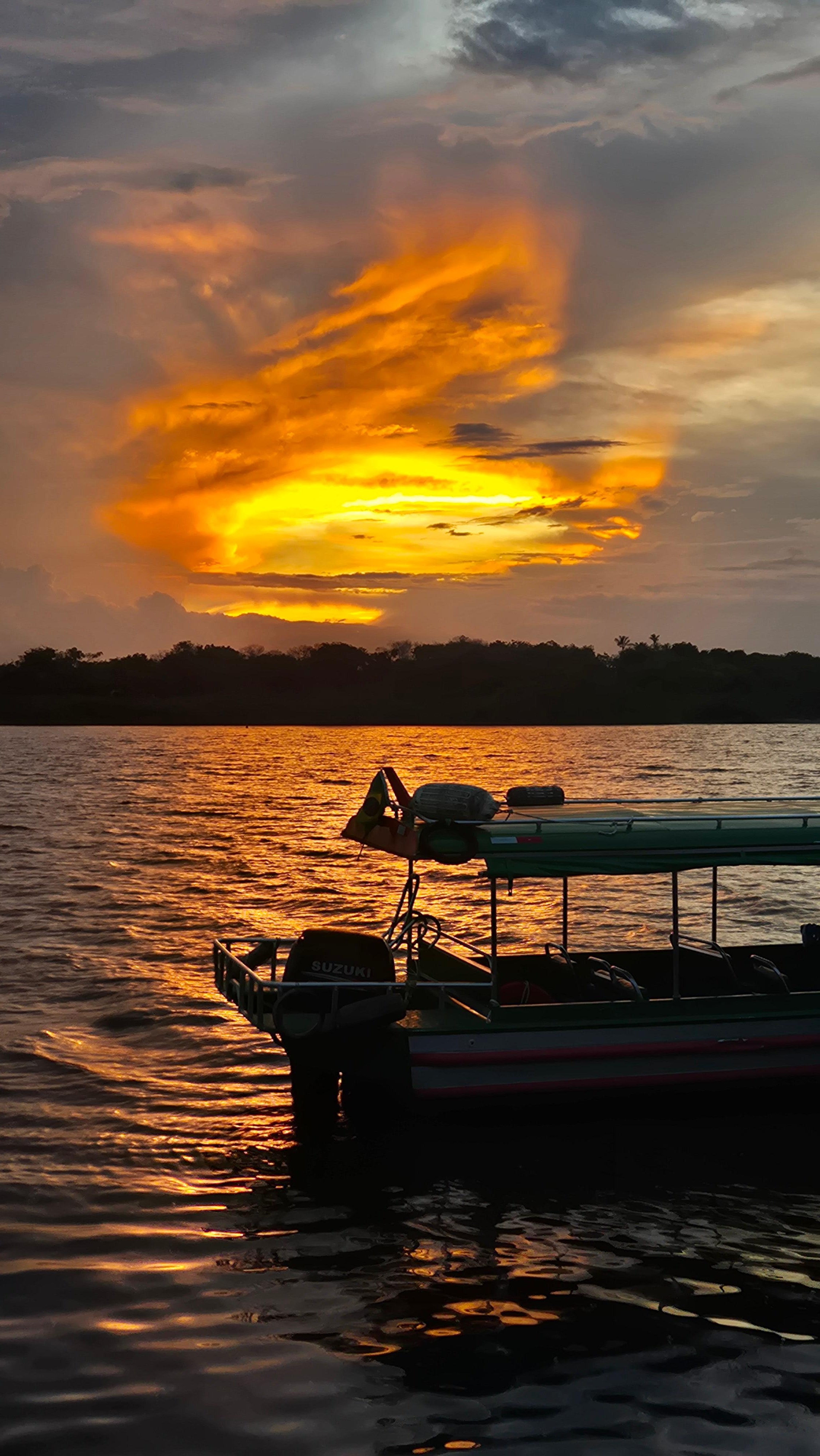 Private Amazon Sunset & Night Safari by Speedboat