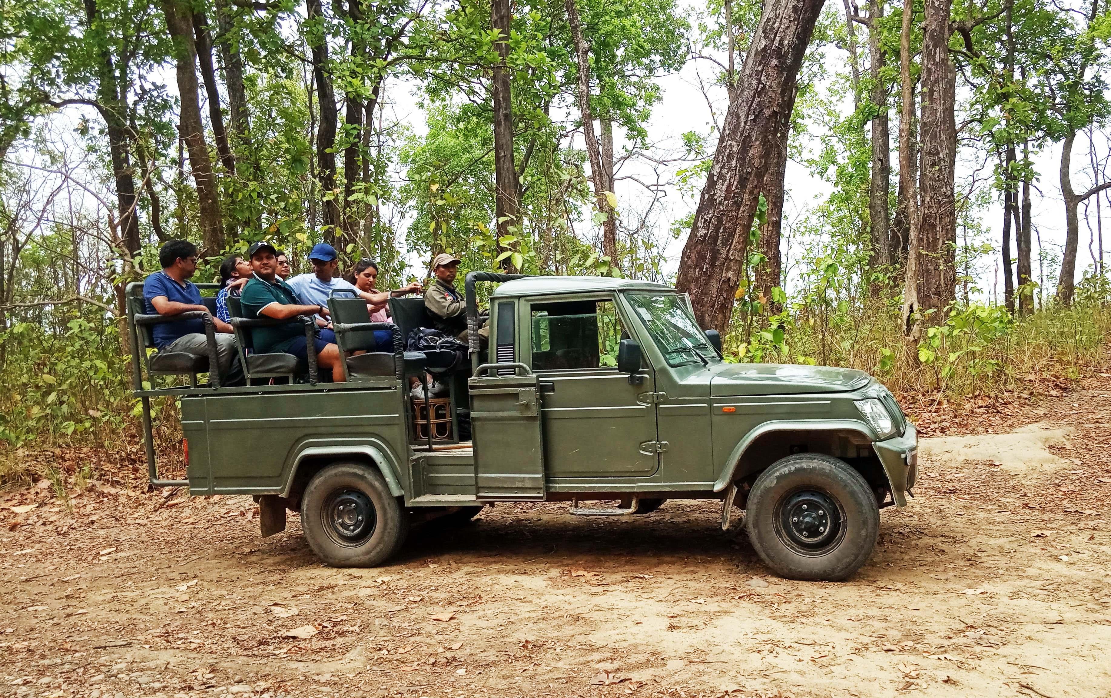 Chitwan Jungle Safari: 2, 3, or 4-Day Wildlife Adventure from Kathmandu or Pokhara