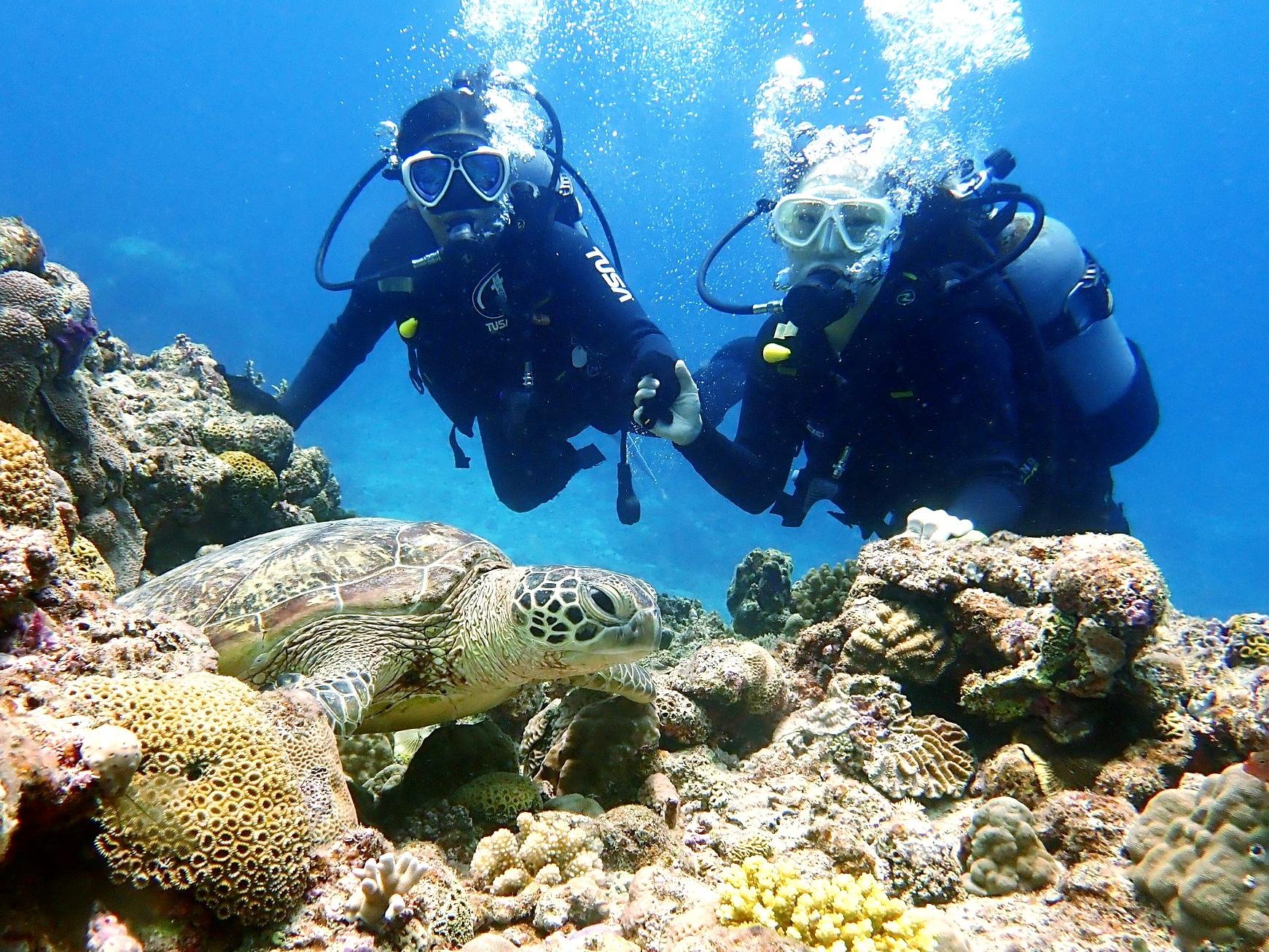 Kerama Islands Diving & Snorkeling Adventure