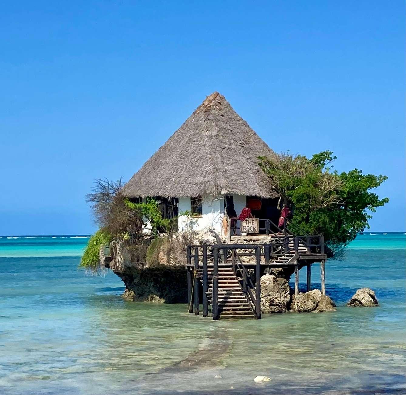 Zanzibar: Jozani Forest, Butterfly Centre & Rock Restaurant Day Tour