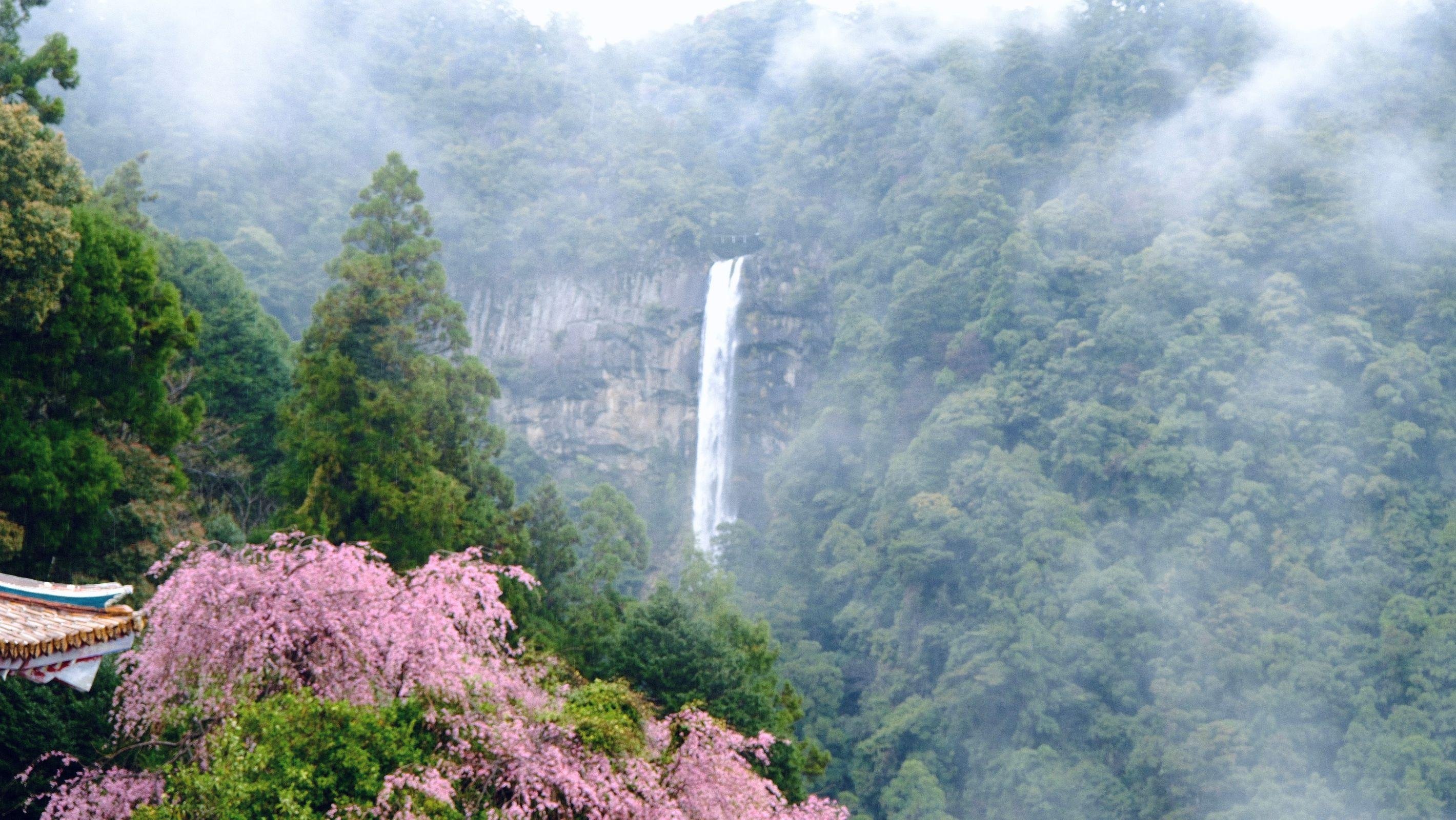 Nachi Falls above the sacred mountainside at Kumano Nachi Taisha