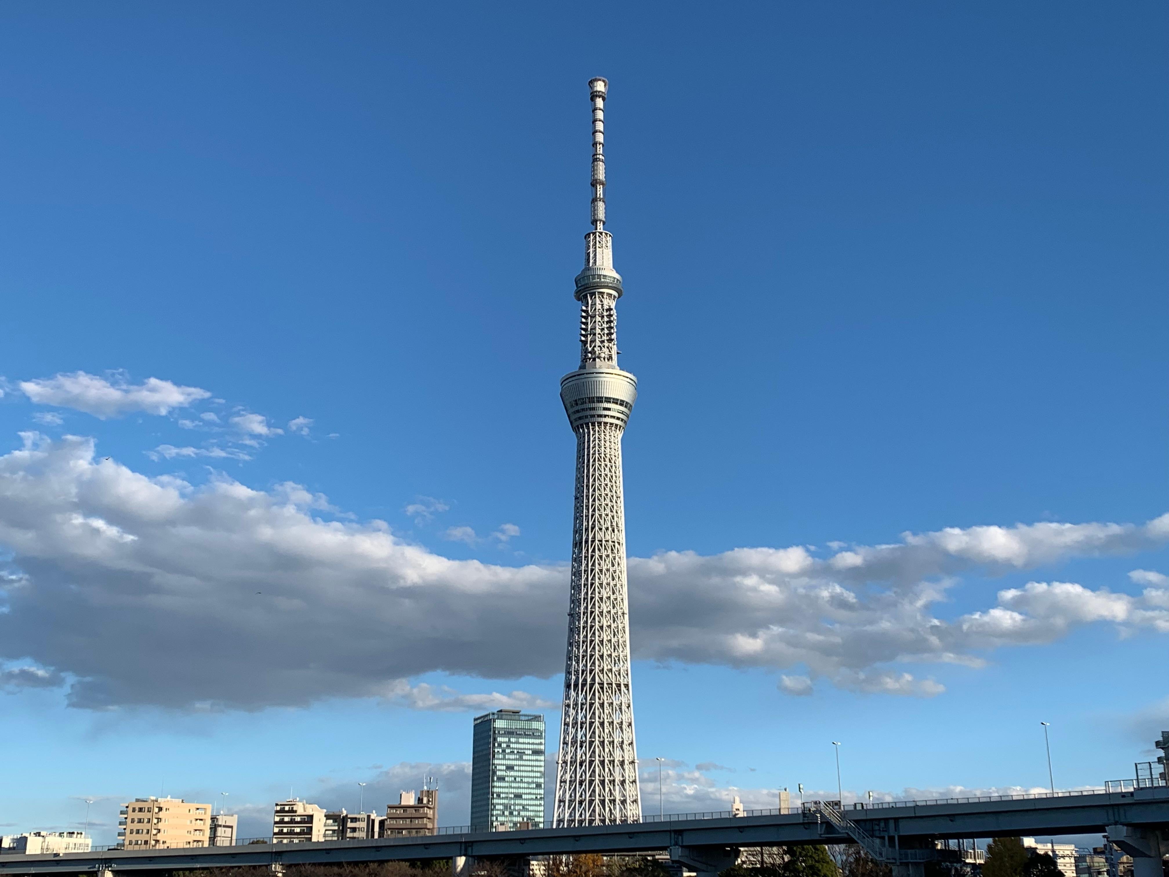 Asakusa History Walk & Tokyo Skytree Ascent