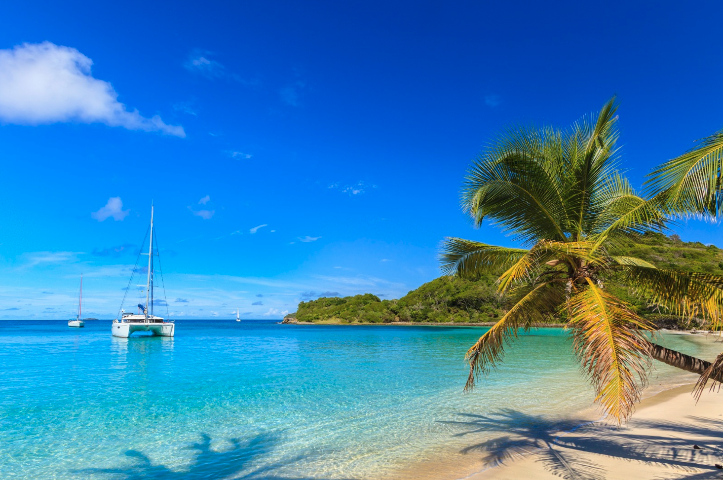 Mahé Catamaran Cruise with Creole Lunch