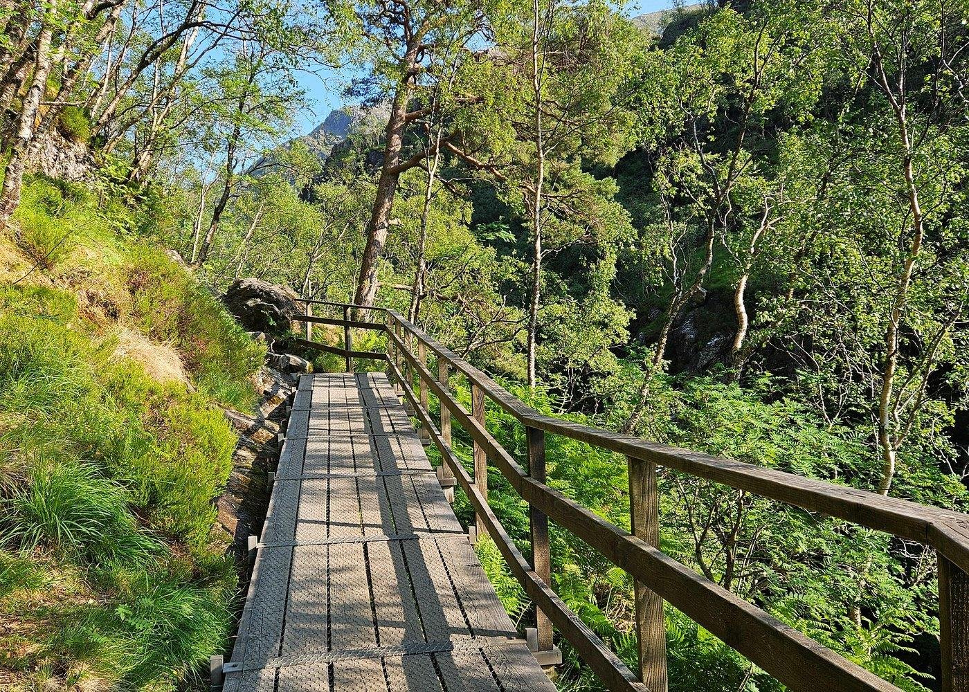 Glen Nevis & Steall Falls Guided Trek