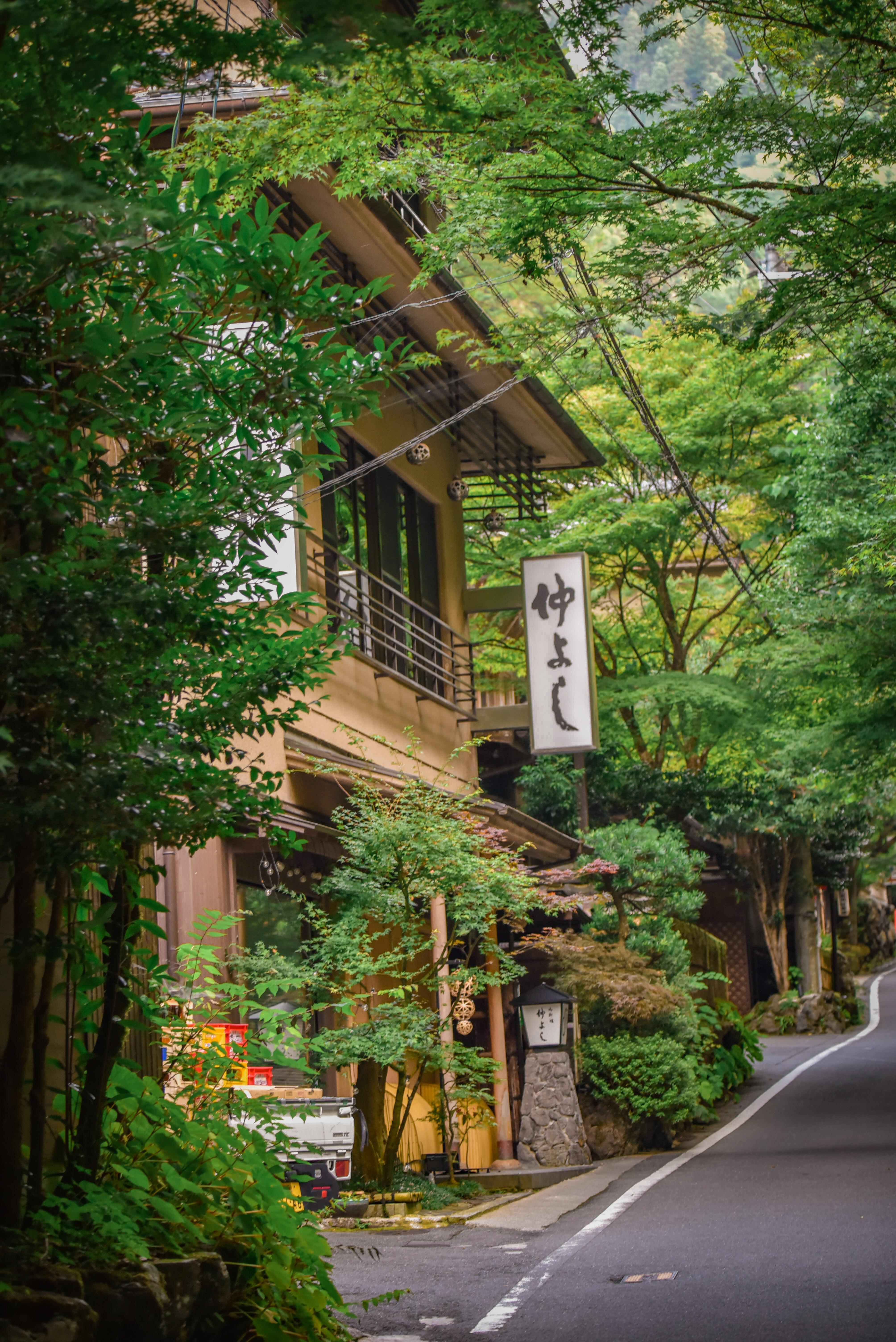 Kyoto Private Day Tour with Guide & Vehicle