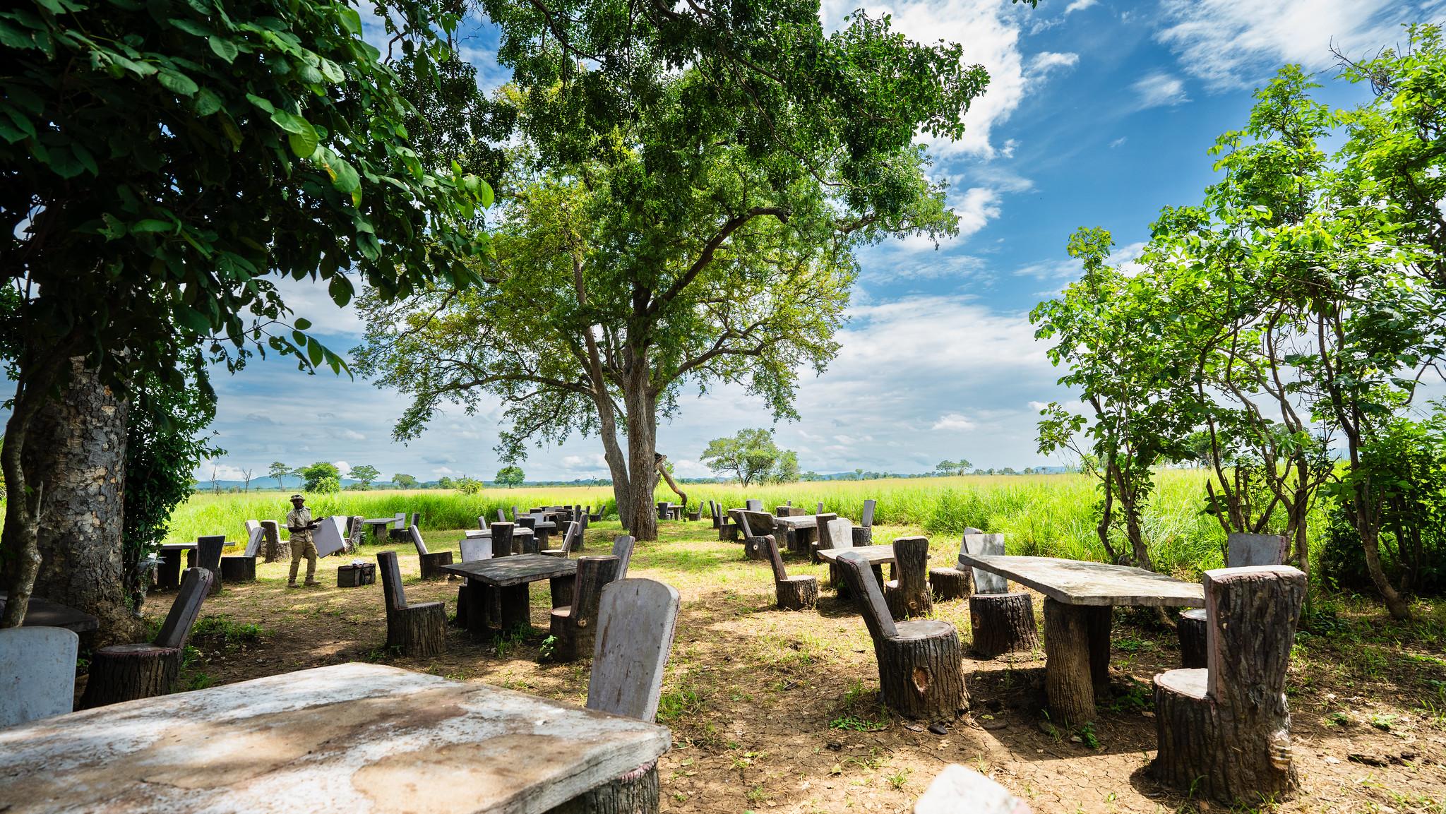 Zanzibar to Mikumi: Fly-In Safari Day Trip with Bush Lunch