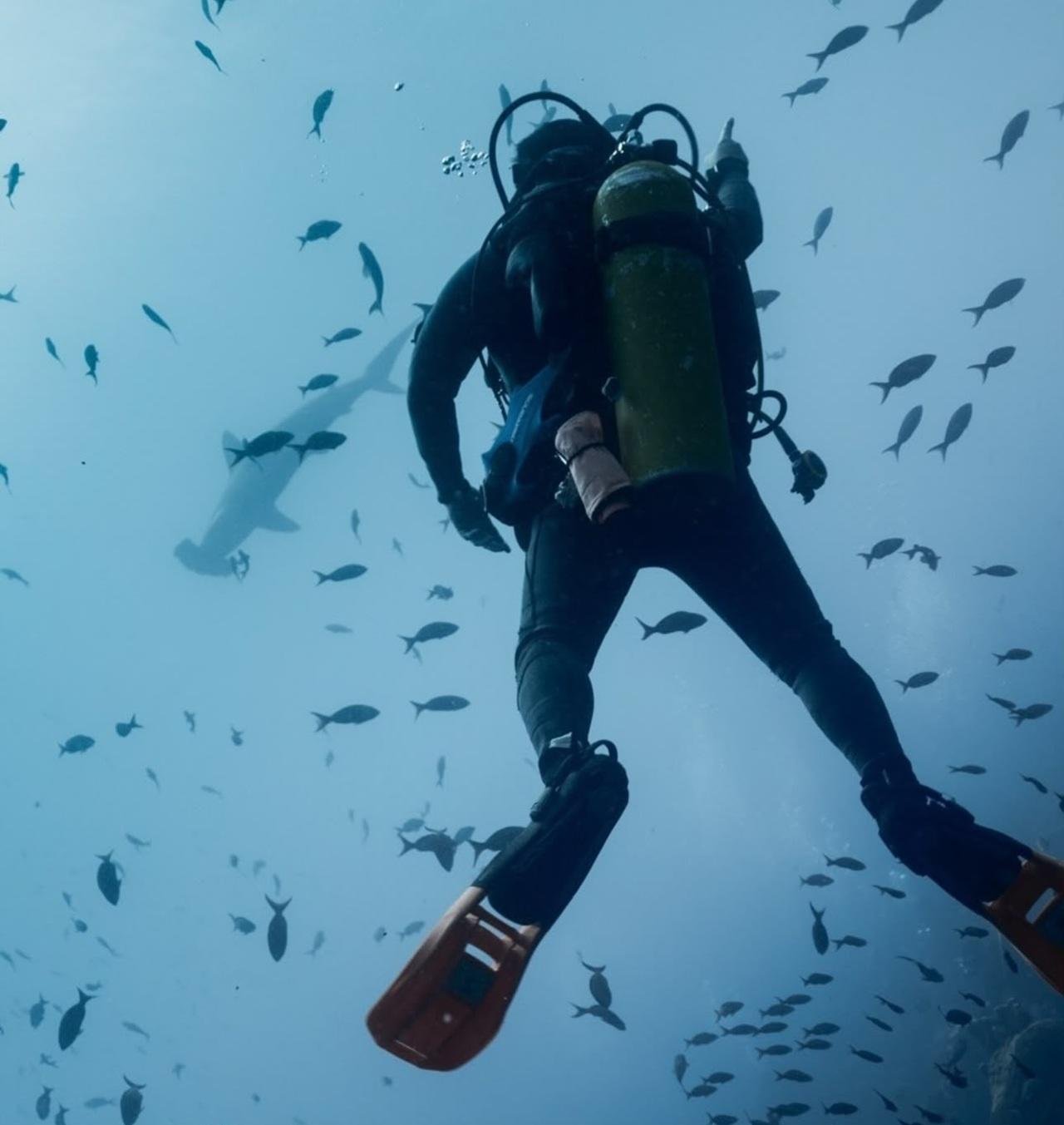 Galápagos Two-Tank Diving Adventure from Puerto Ayora