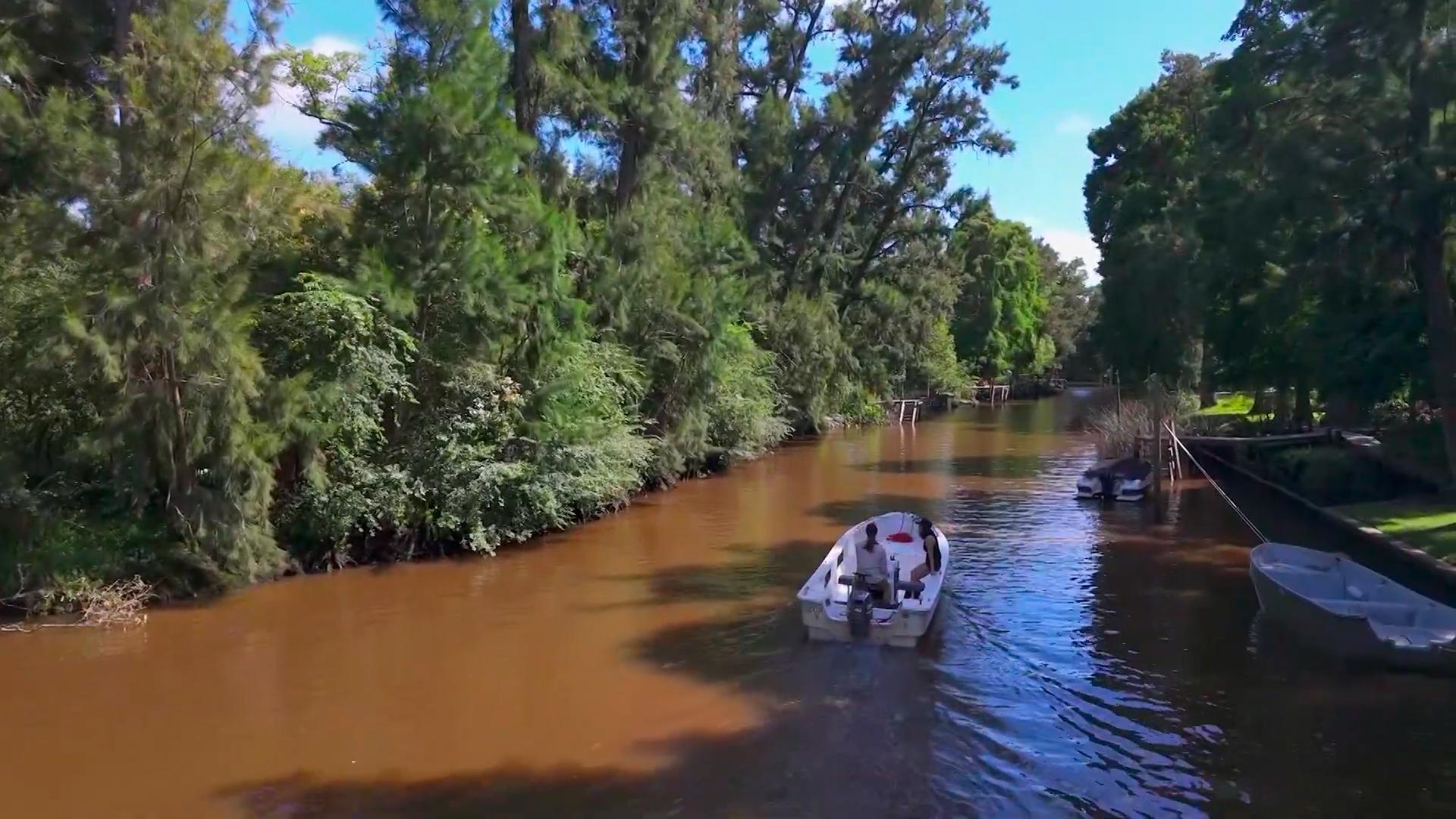 Tigre Delta Biosphere Reserve Boat Safari