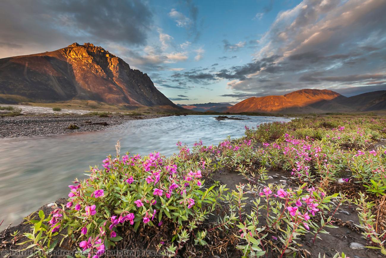 From Anchorage: 6-Day Best of Grand Alaska Highlights Tour