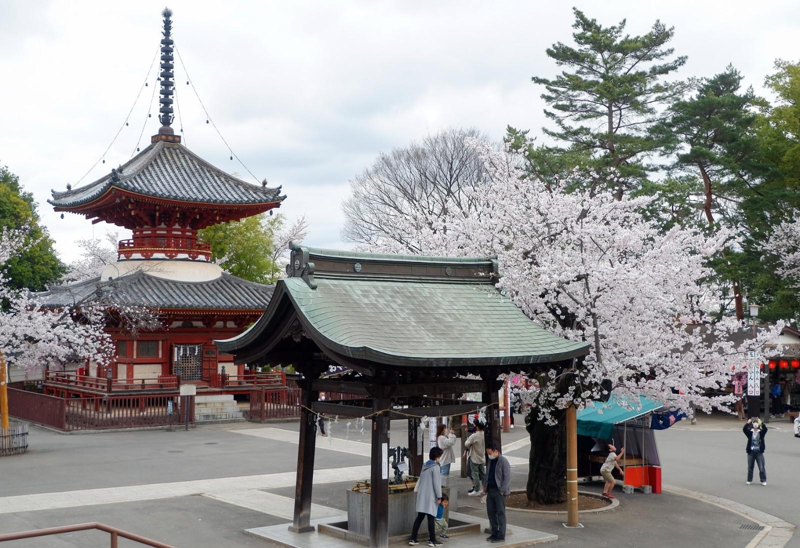 Private Mt. Fuji Day Tour from Tokyo