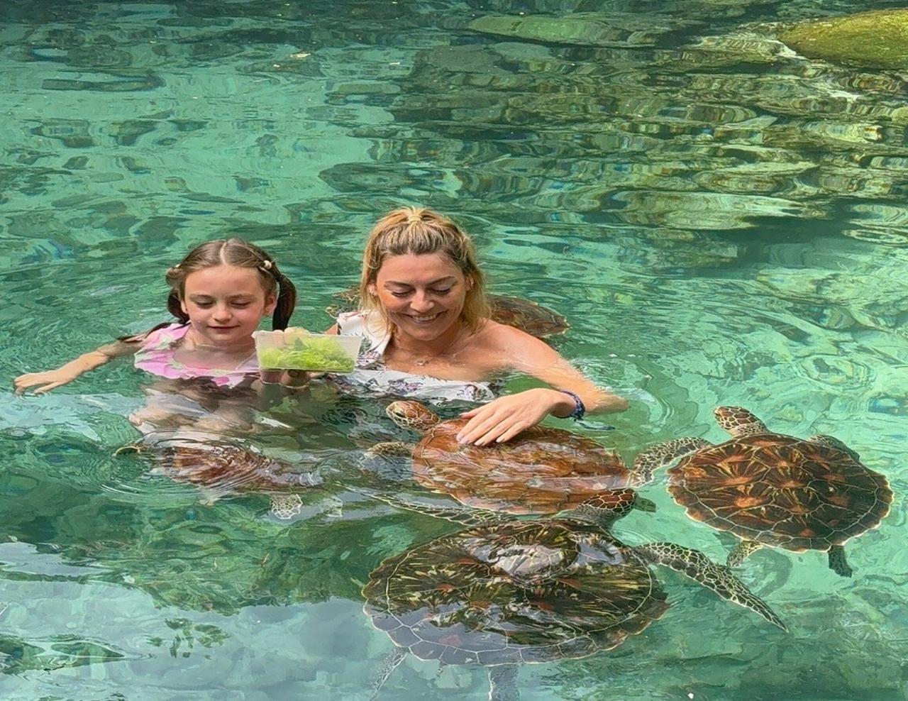 Zanzibar: Jozani Forest, Sea Turtles & Spice Farm Day Tour