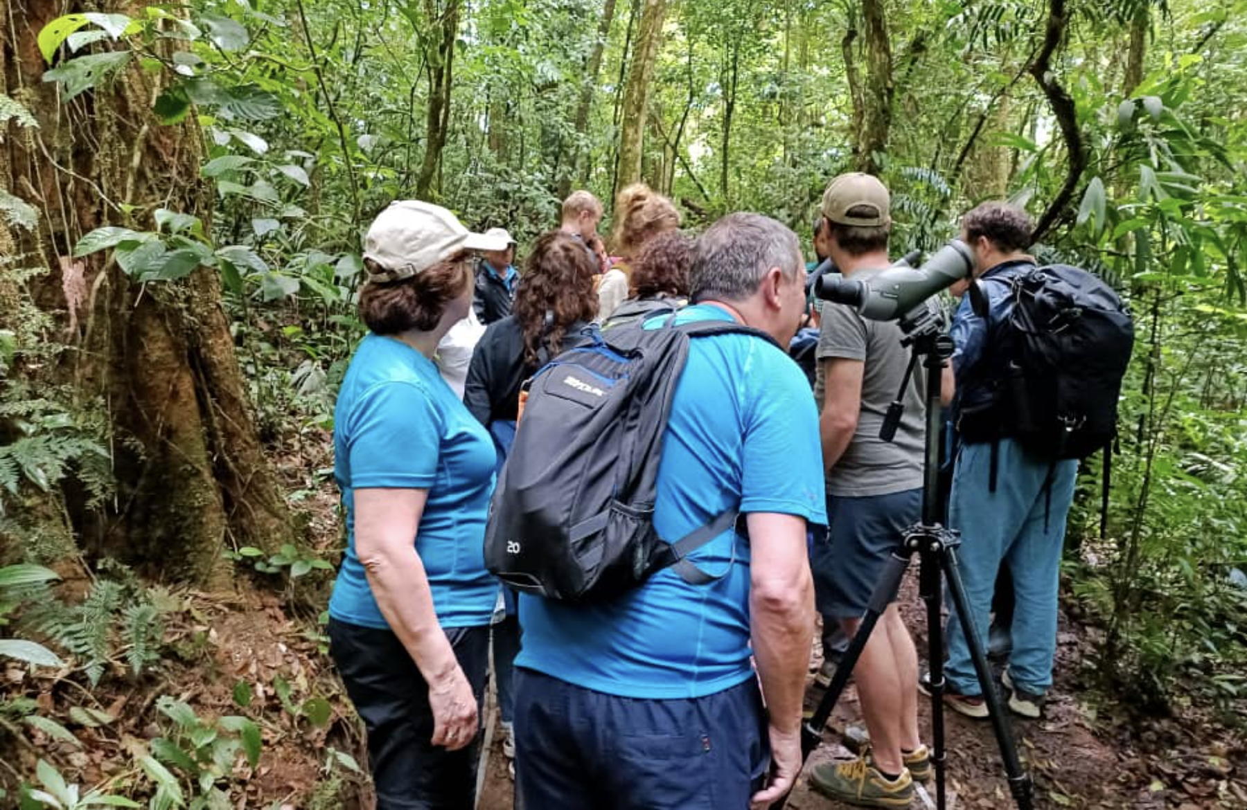 Guided Nature Walk in Monteverde Cloud Forest Reserve