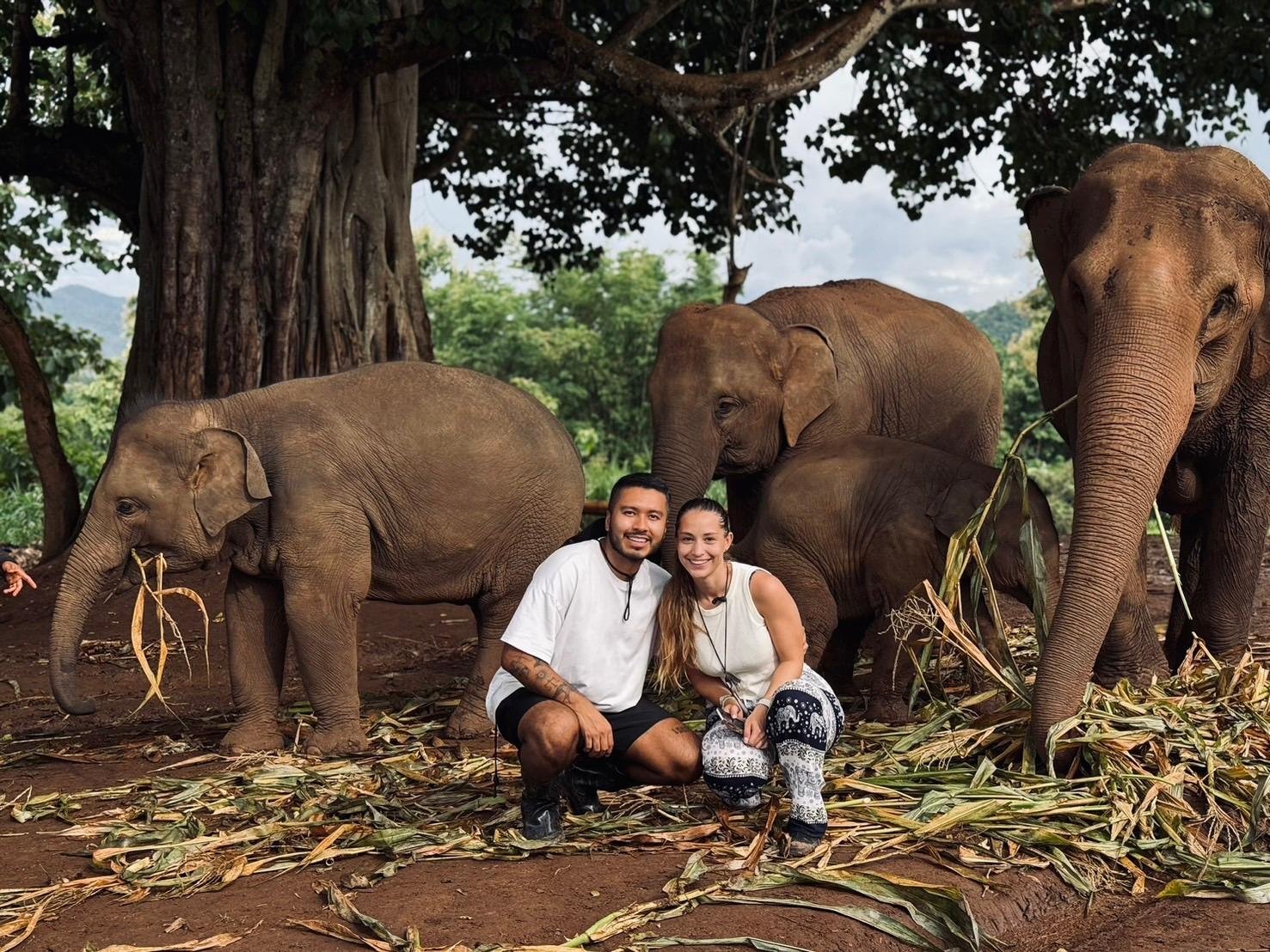 Elephant Sanctuary and Cooking Class — image 1