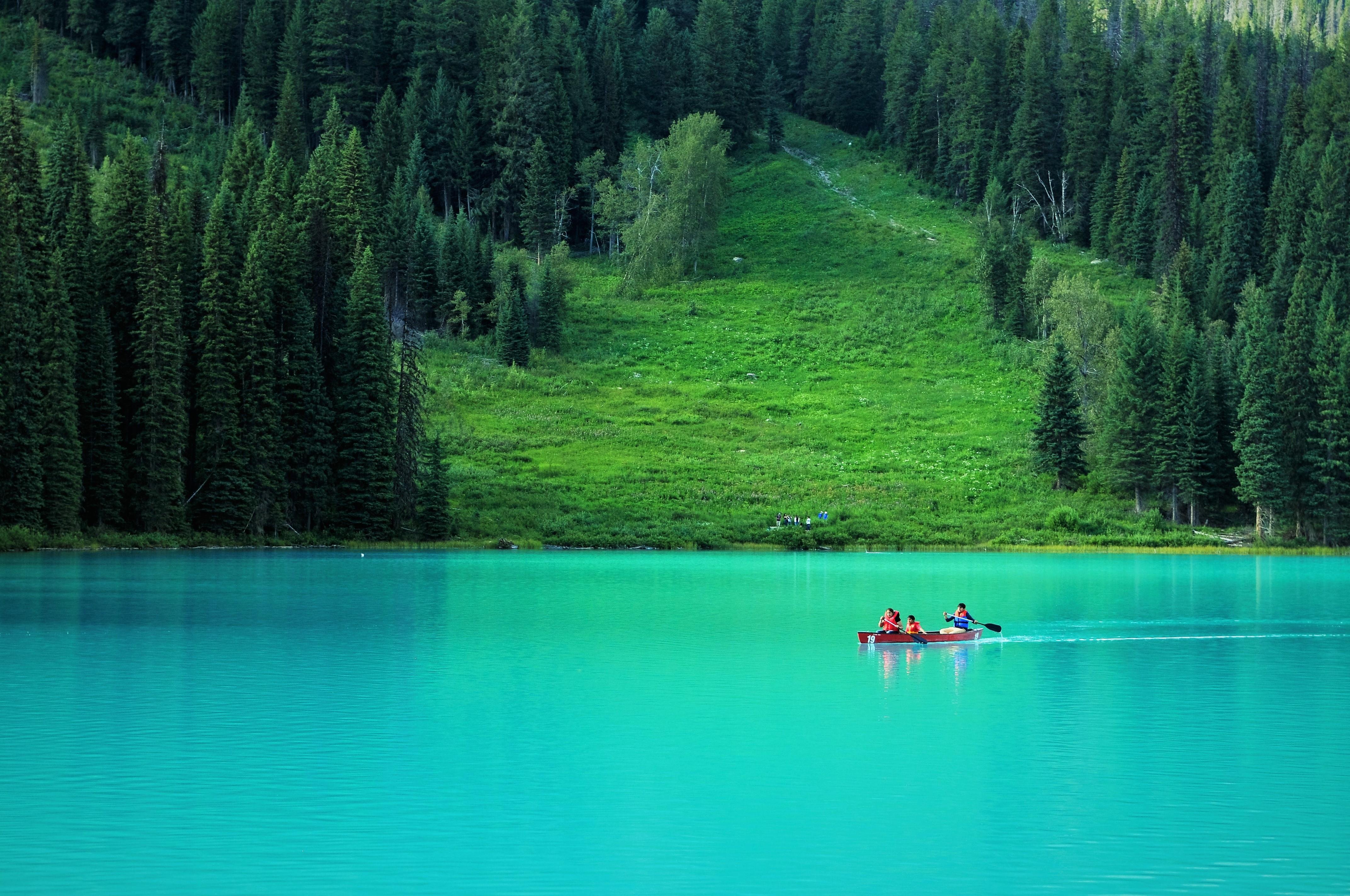 Lake View Tour-Lake Moraine, Louise,Emerald,Peyto,Vermillion - 2026 (Verified Reviews)