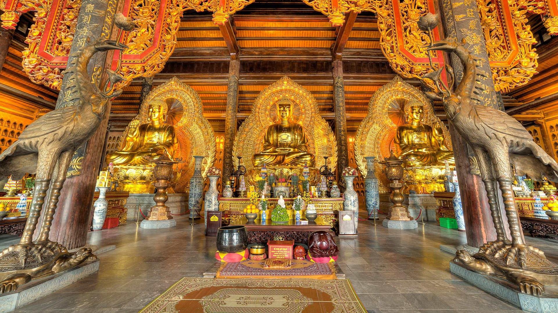 Ninh Binh Private Full-Day Tour from Hanoi