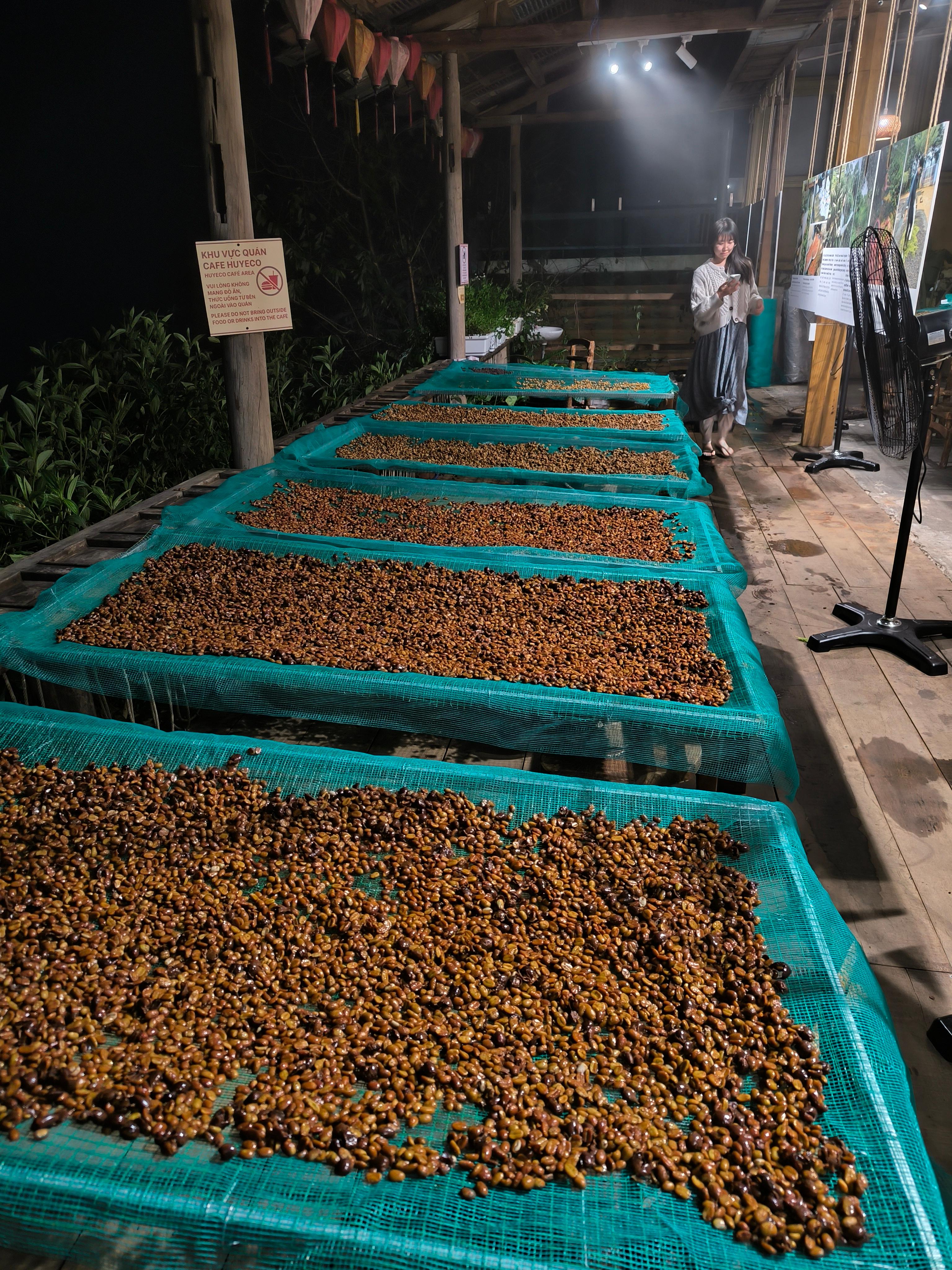 coffee tour in Dalat — photo 9