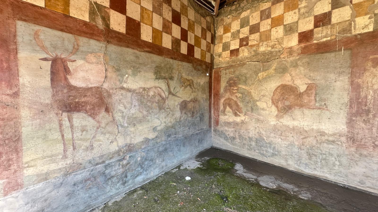 Pompeii Guided Tour from Positano with Skip-the-Line Entry
