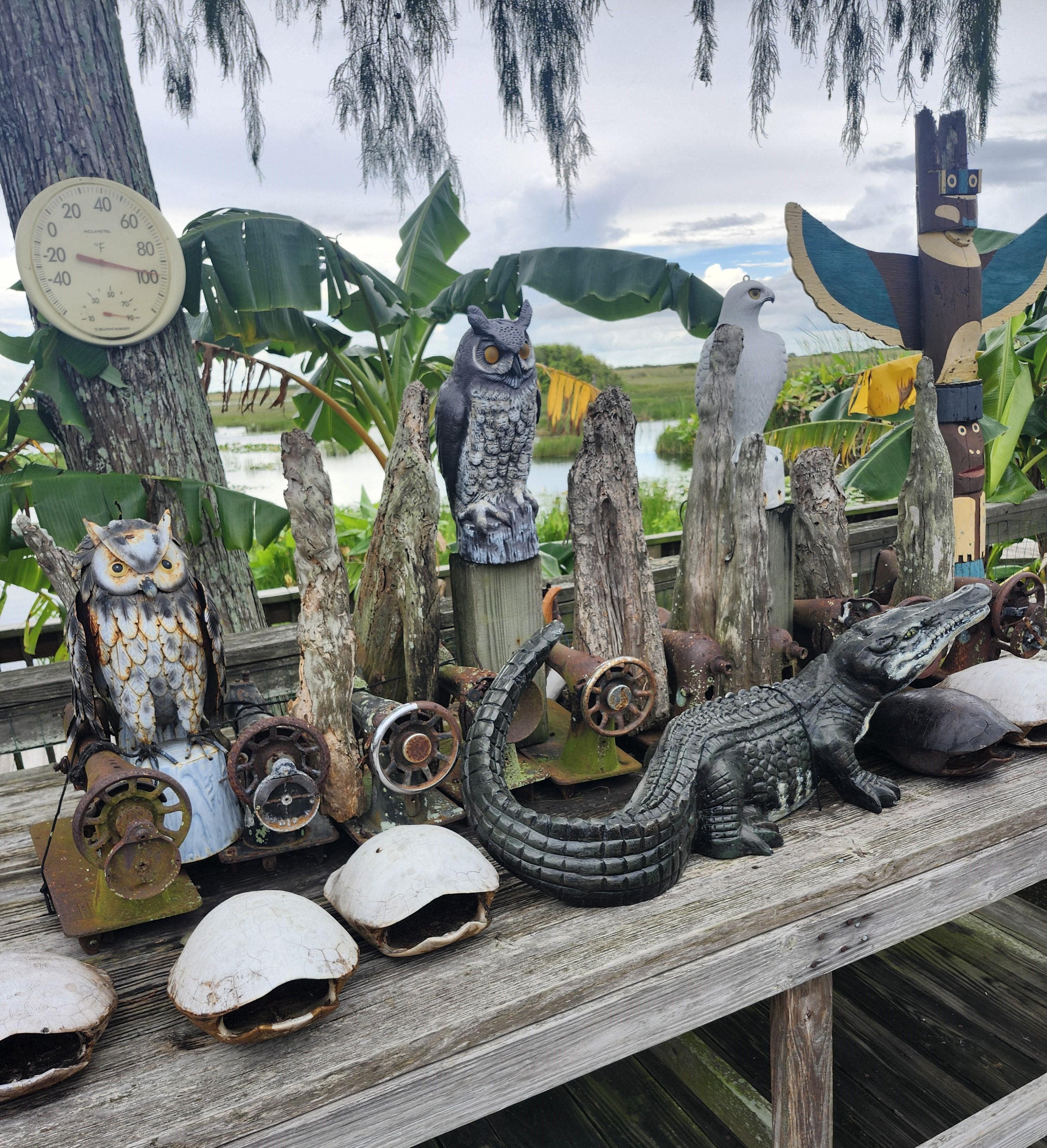 Small-Group Everglades Eco-Adventure & Private Islands Tour