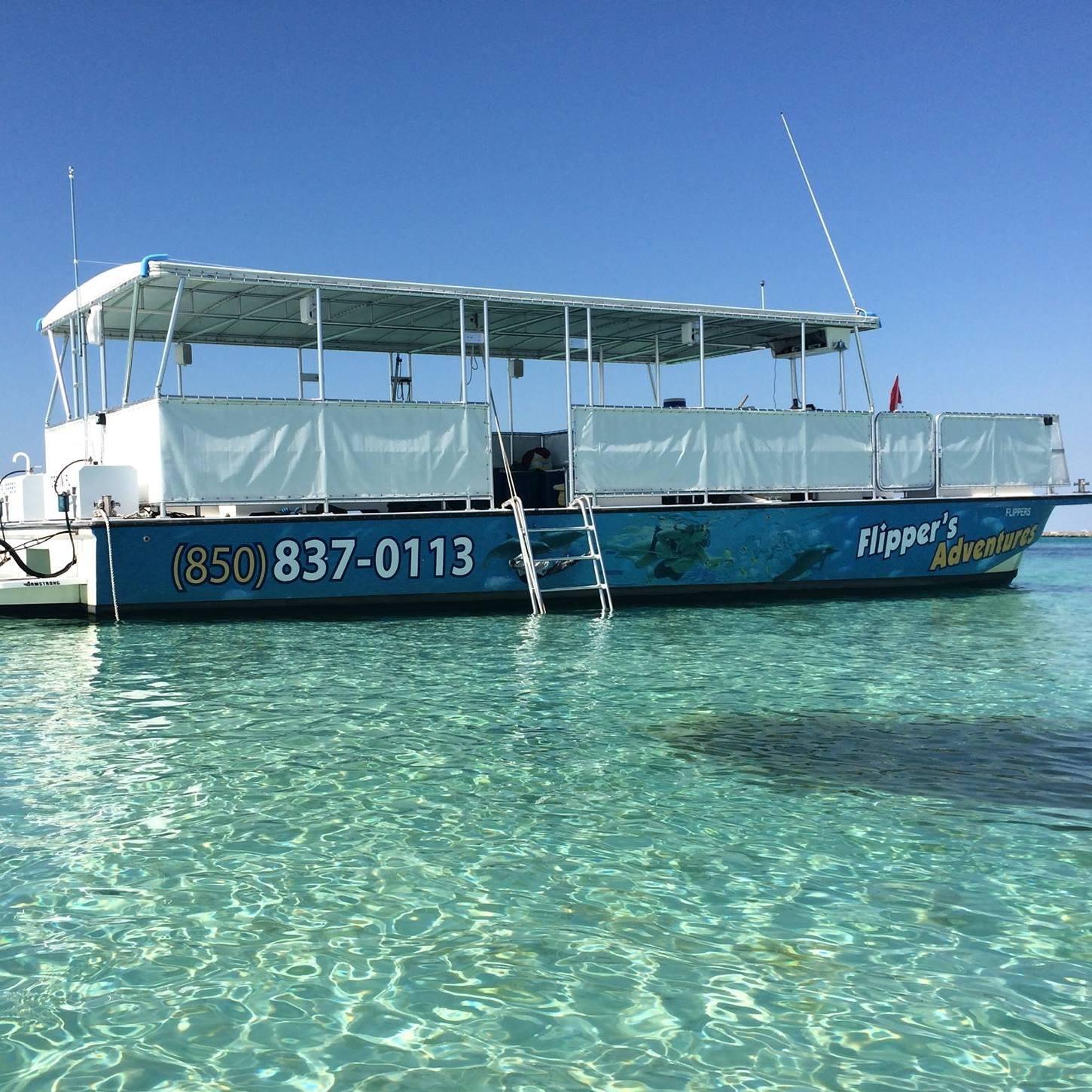 Crab Island Catamaran Cruise with Dolphin Spotting
