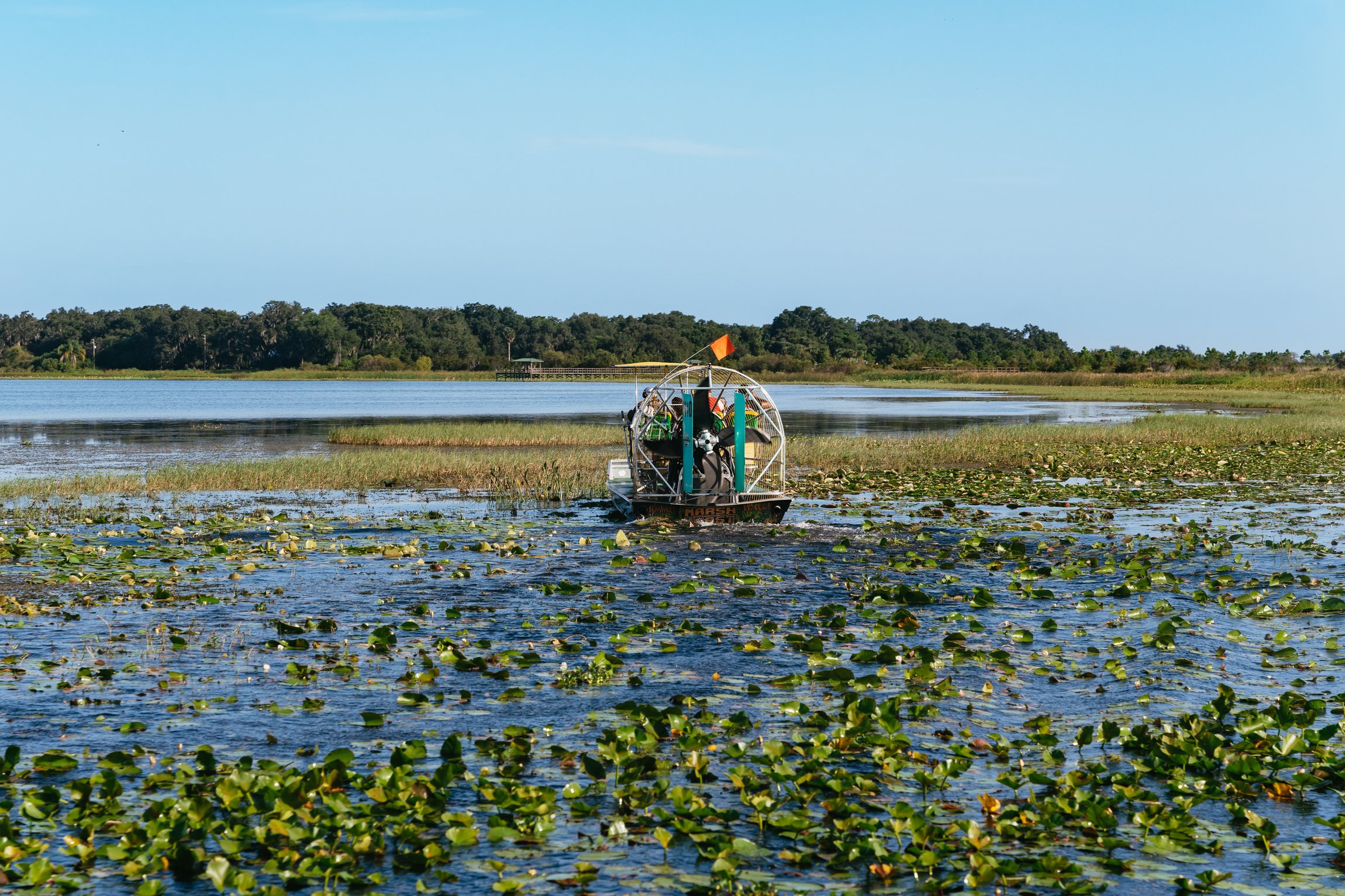 Kissimmee Everglades Airboat Expedition